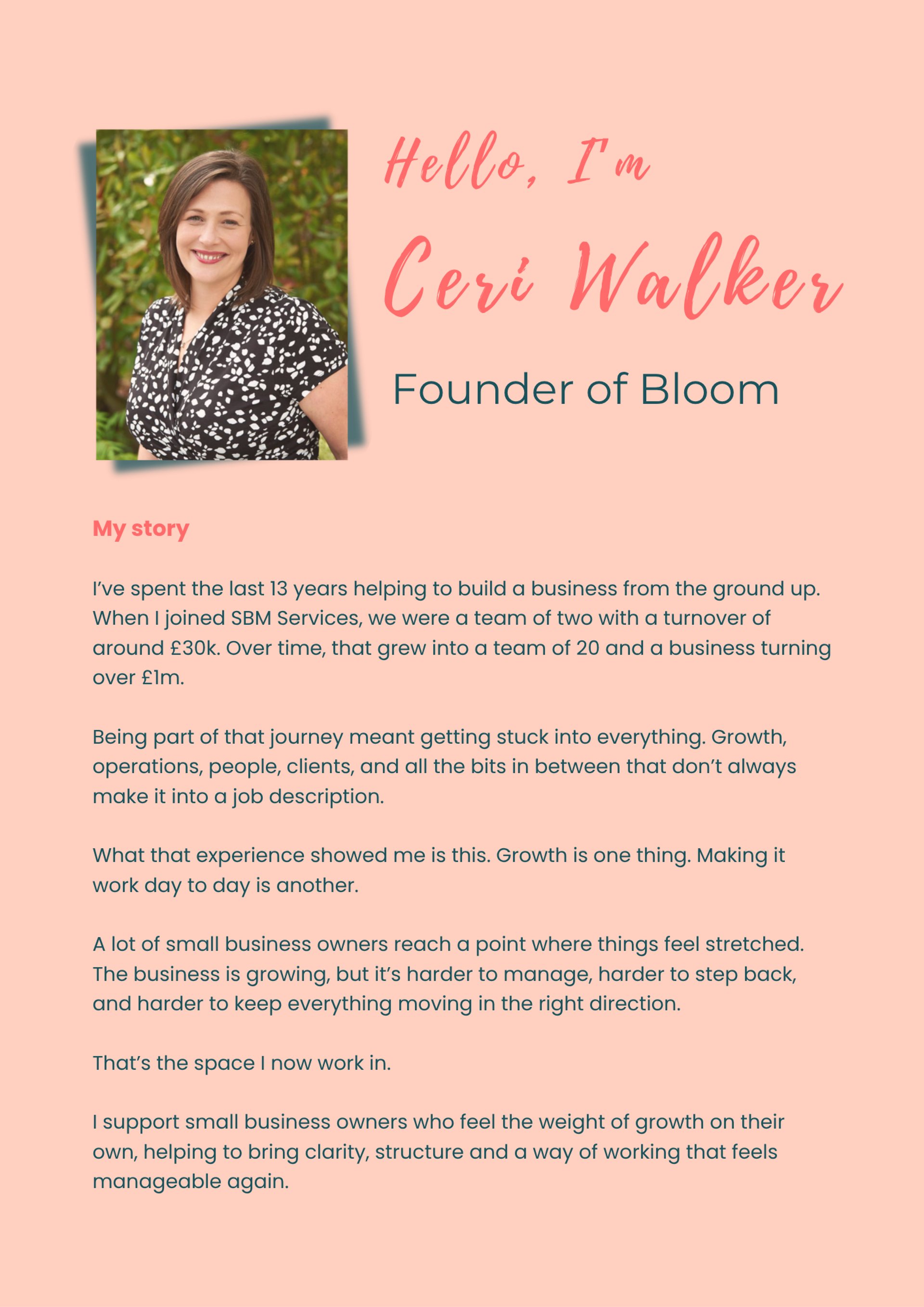 black and brown leather padded tub sofa