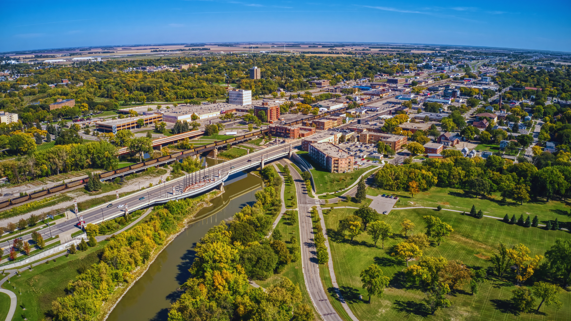 group of people taking photo near brown wooden tree