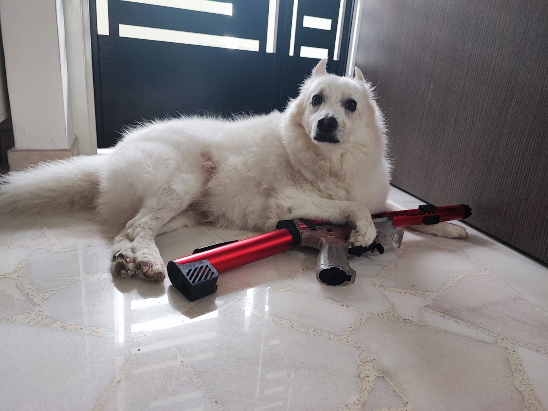 an abstract photo of a curved building with a blue sky in the background