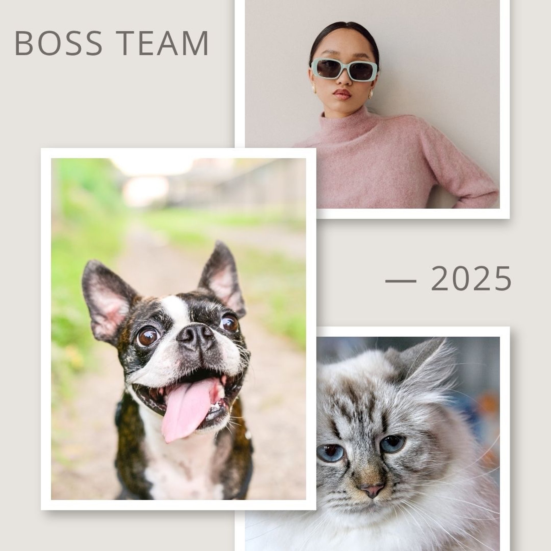 Boss Team