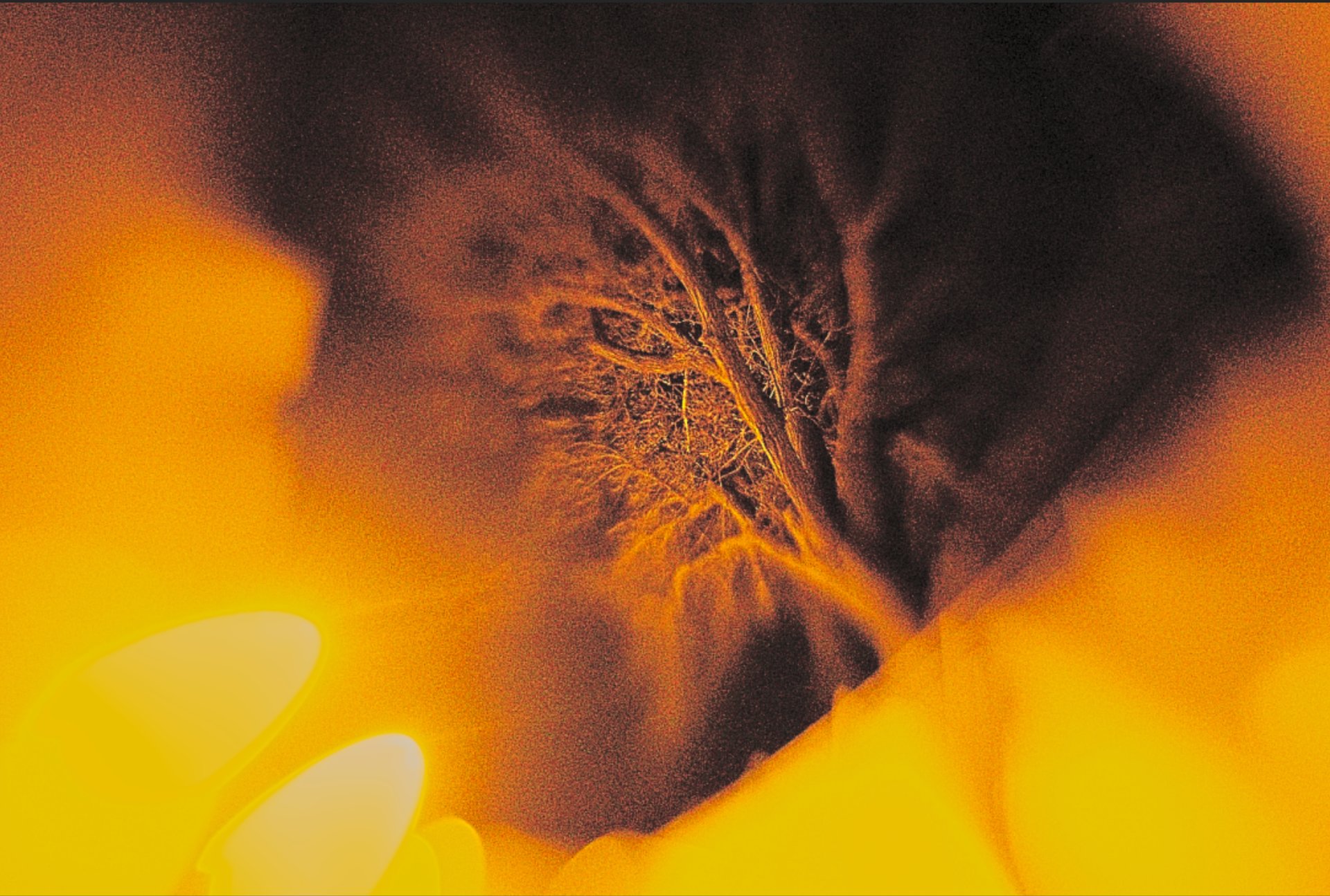 persons eye in close up photography