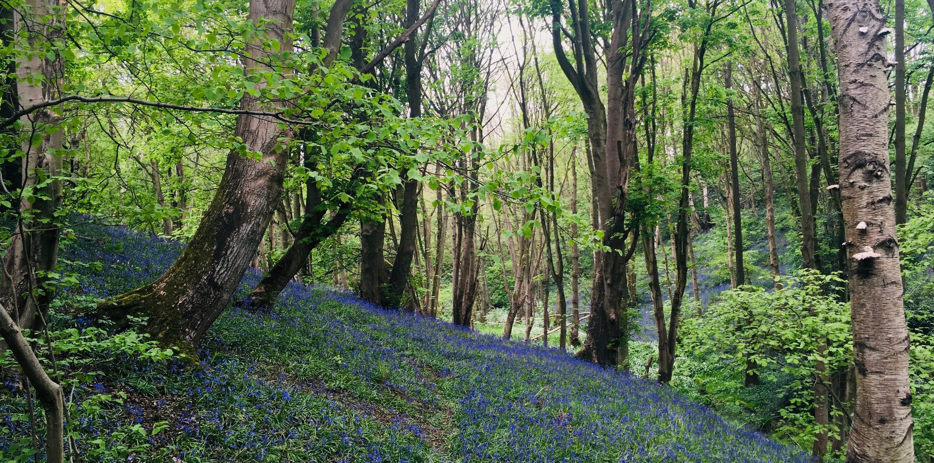 black blue and yellow textile