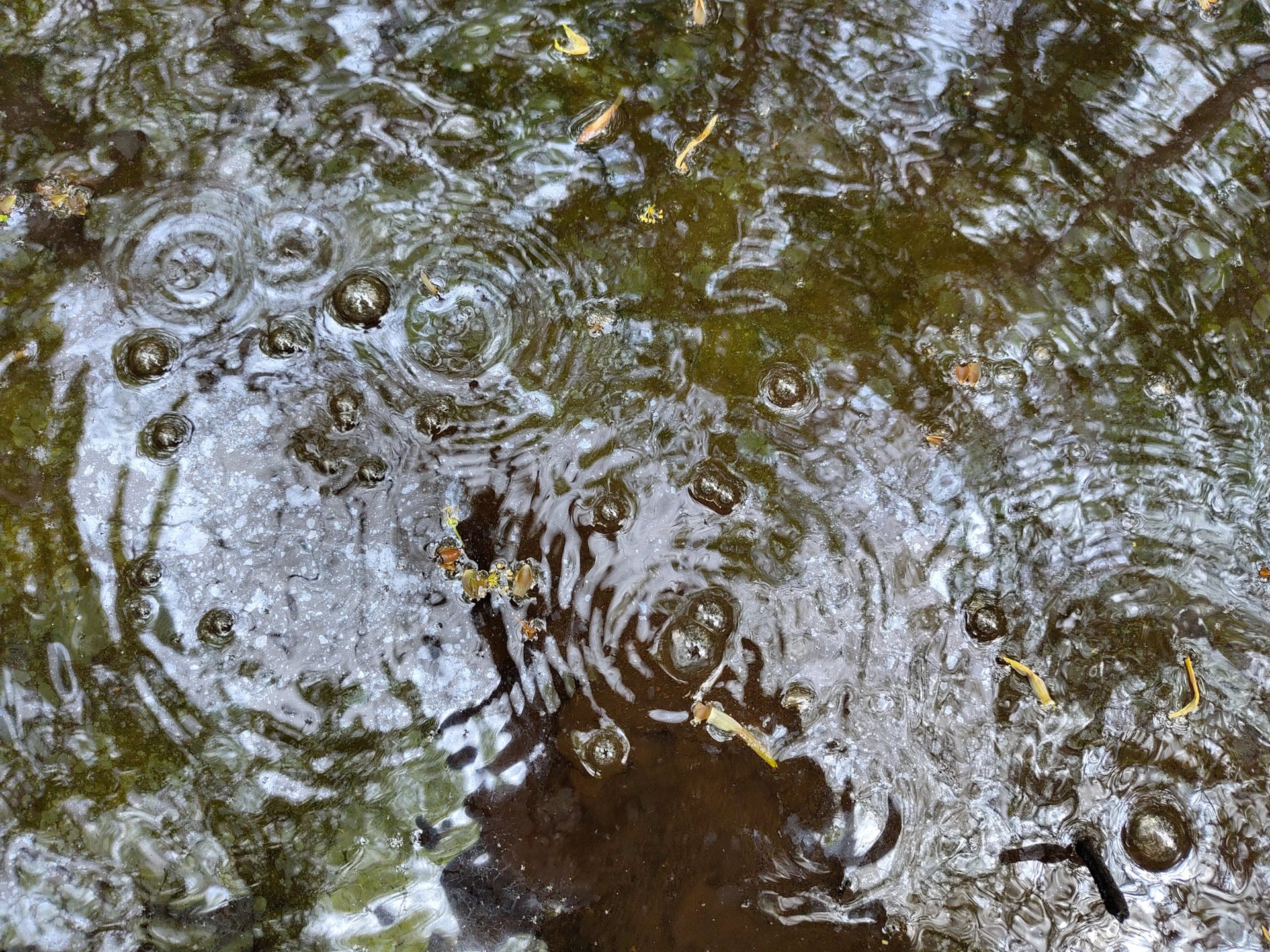 black blue and yellow textile