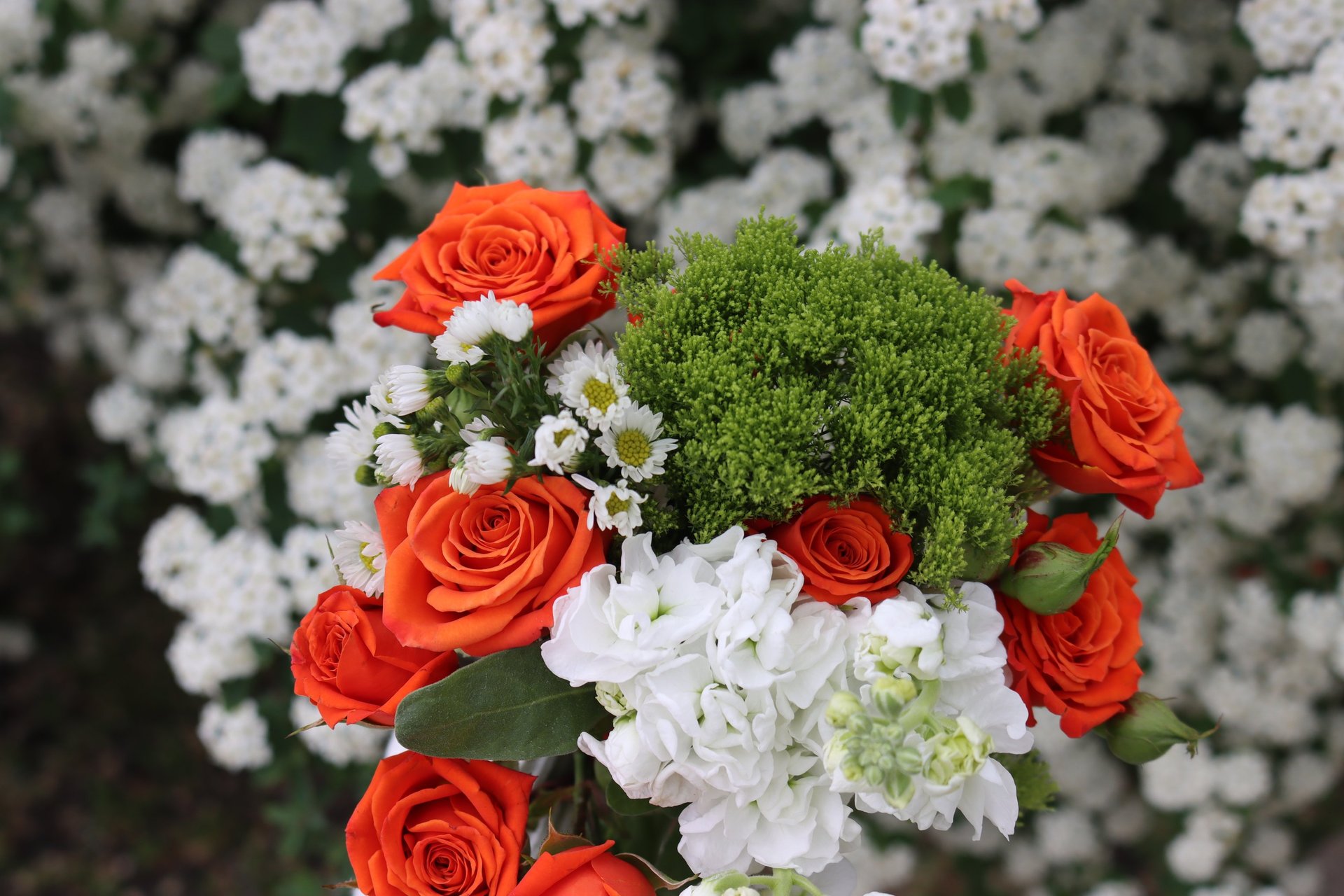 person holding bouquet of flowers