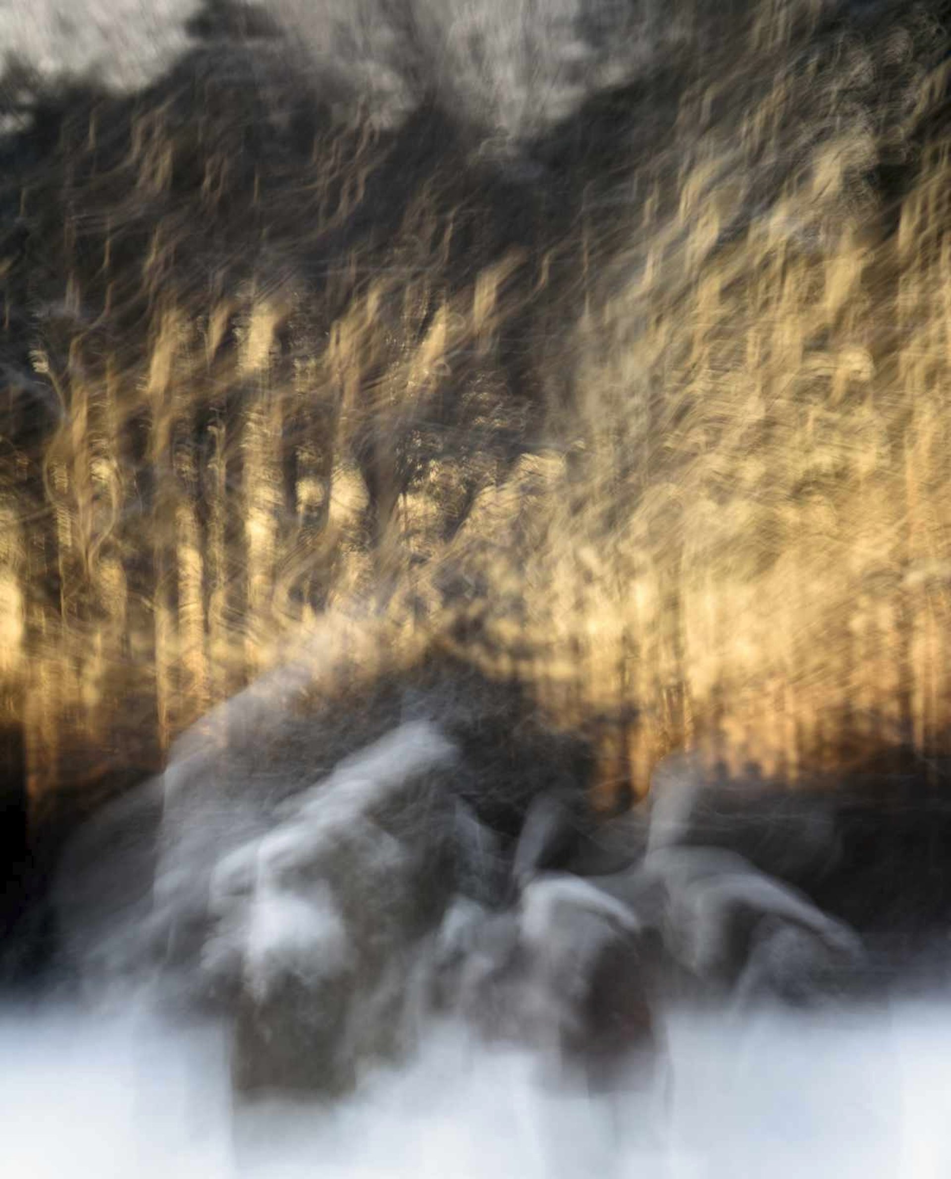 black and white bed linen