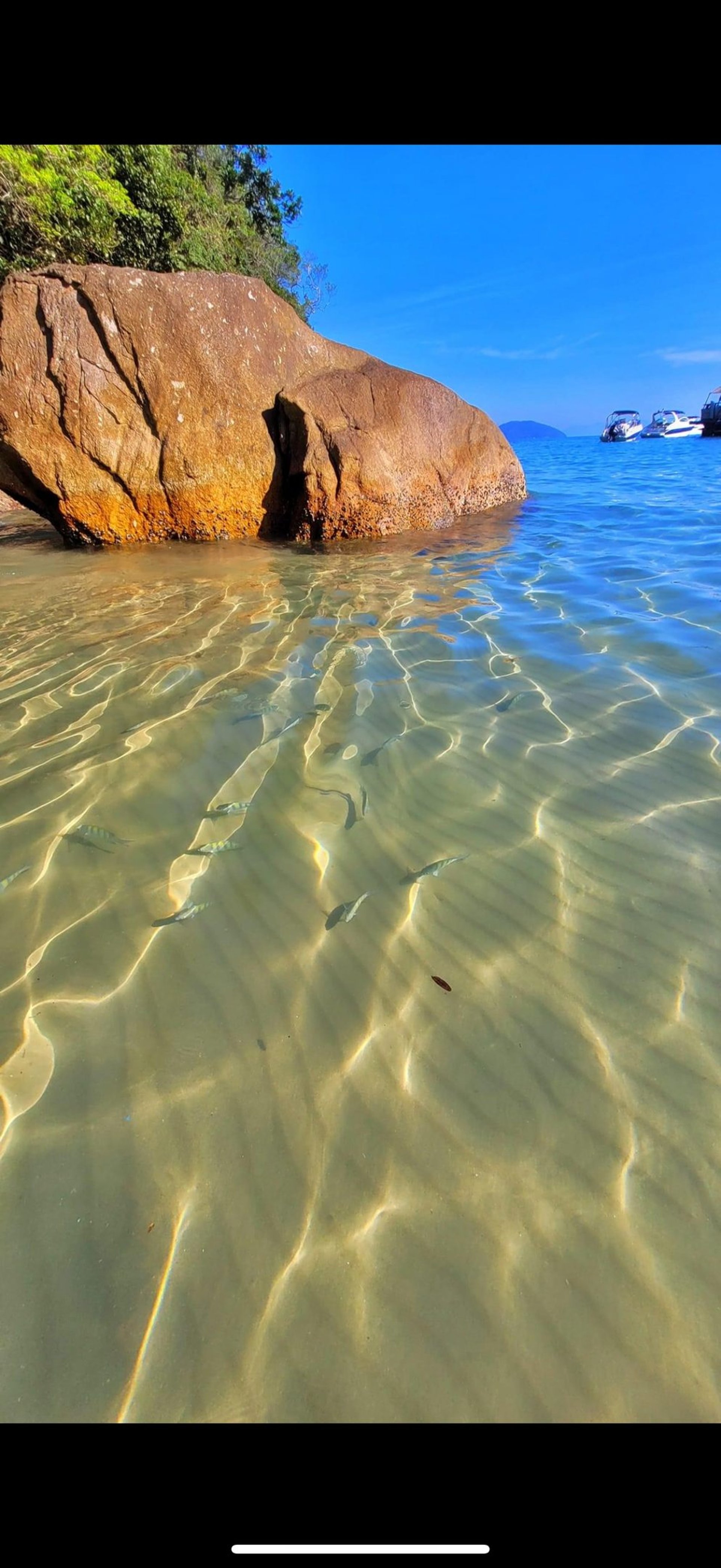 woman wearing yellow long-sleeved dress under white clouds and blue sky during daytime