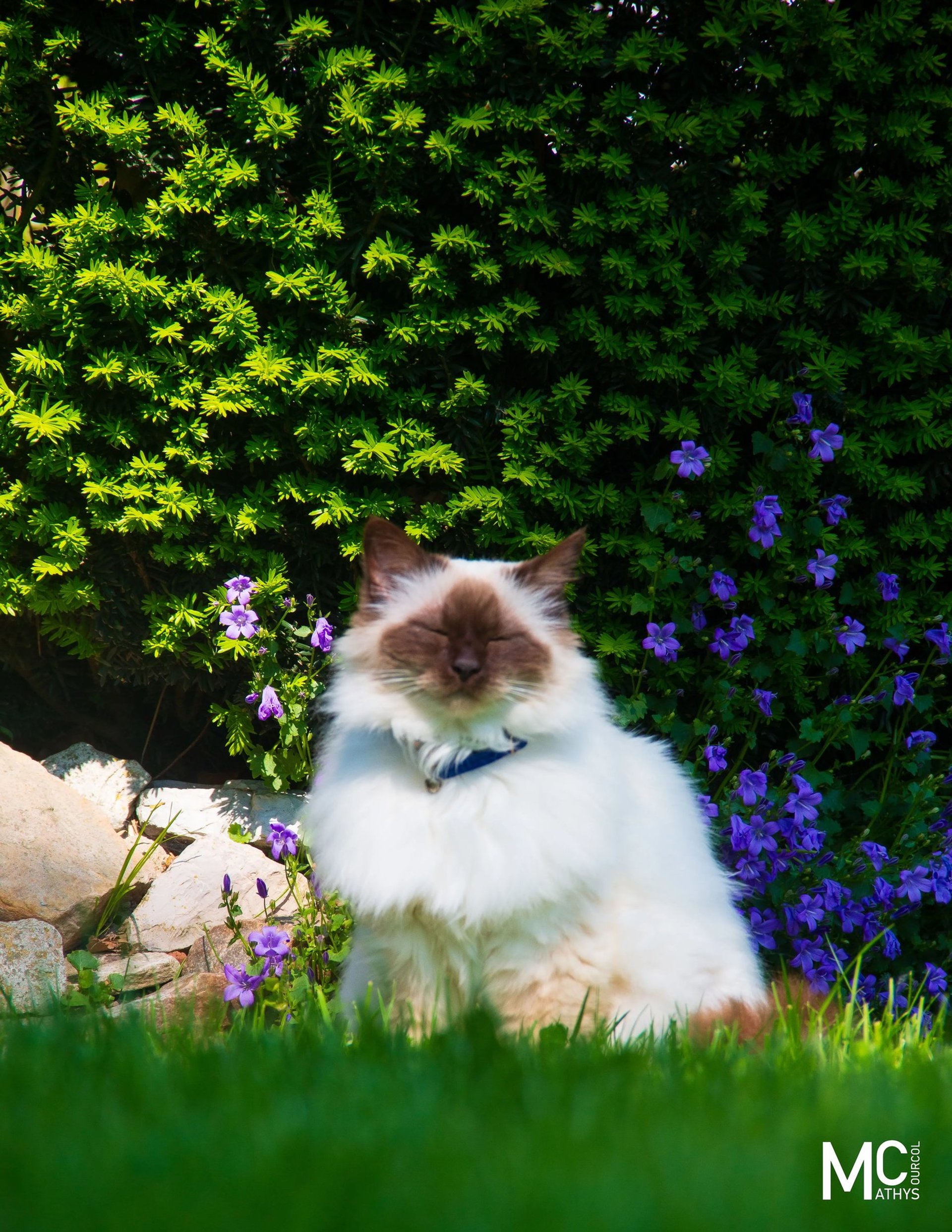 black and white bed linen