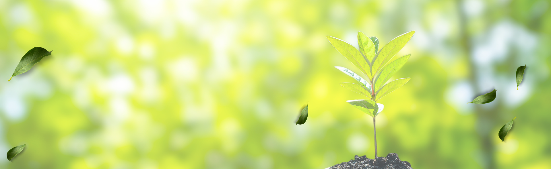 black and brown leather padded tub sofa