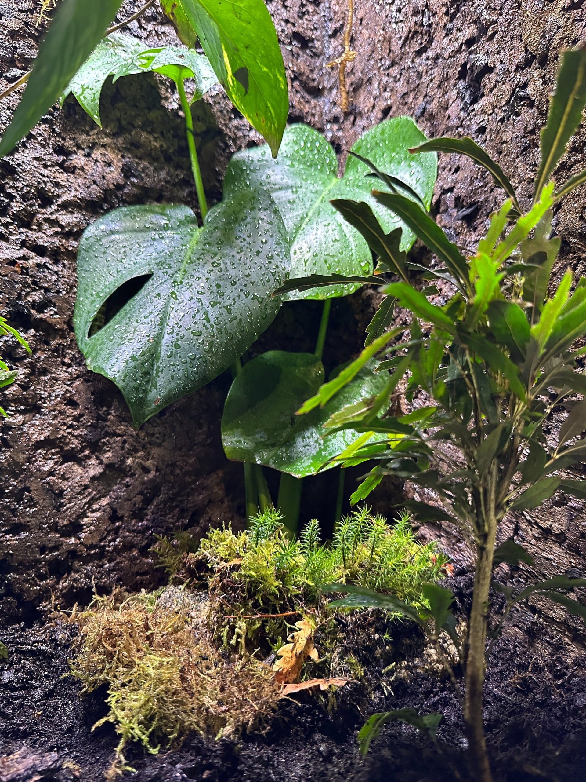 gray computer monitor