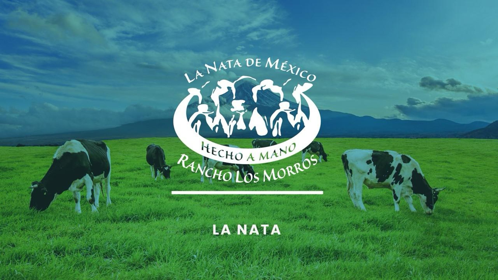 woman holding dried flower