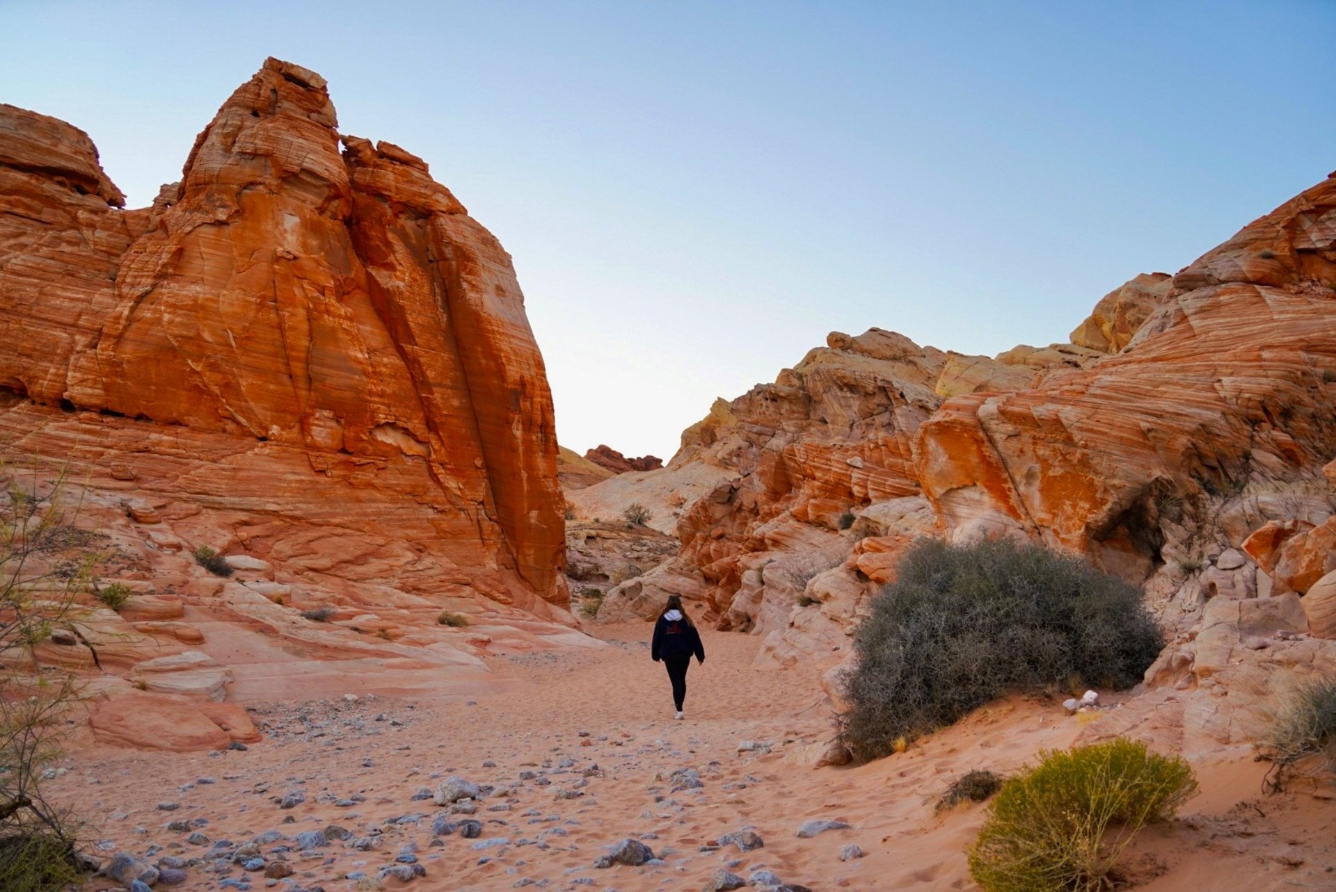 an abstract photo of a curved building with a blue sky in the background