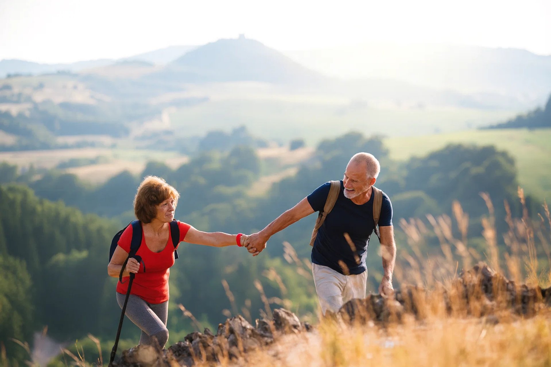 black and brown leather padded tub sofa