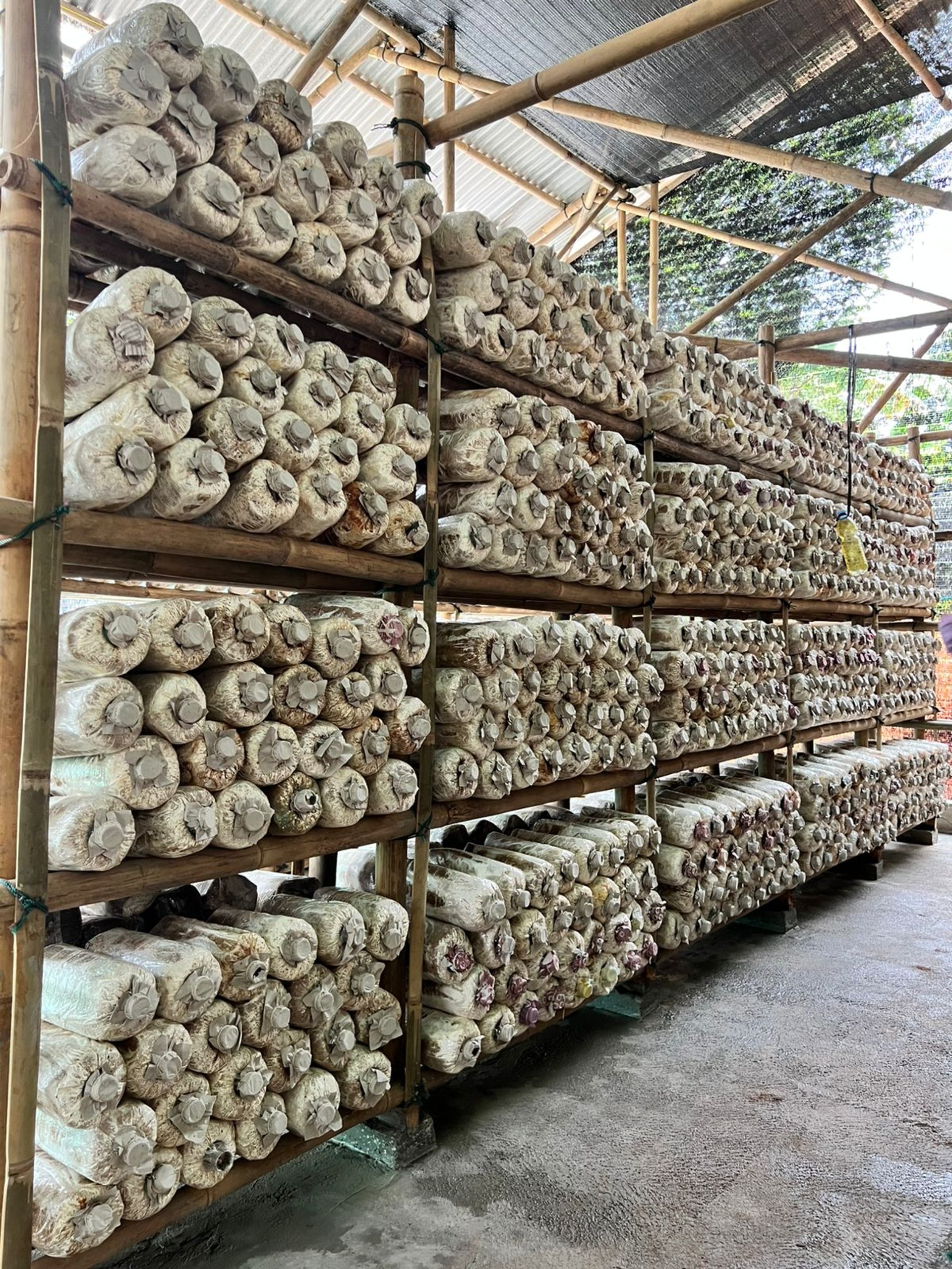 black and brown leather padded tub sofa