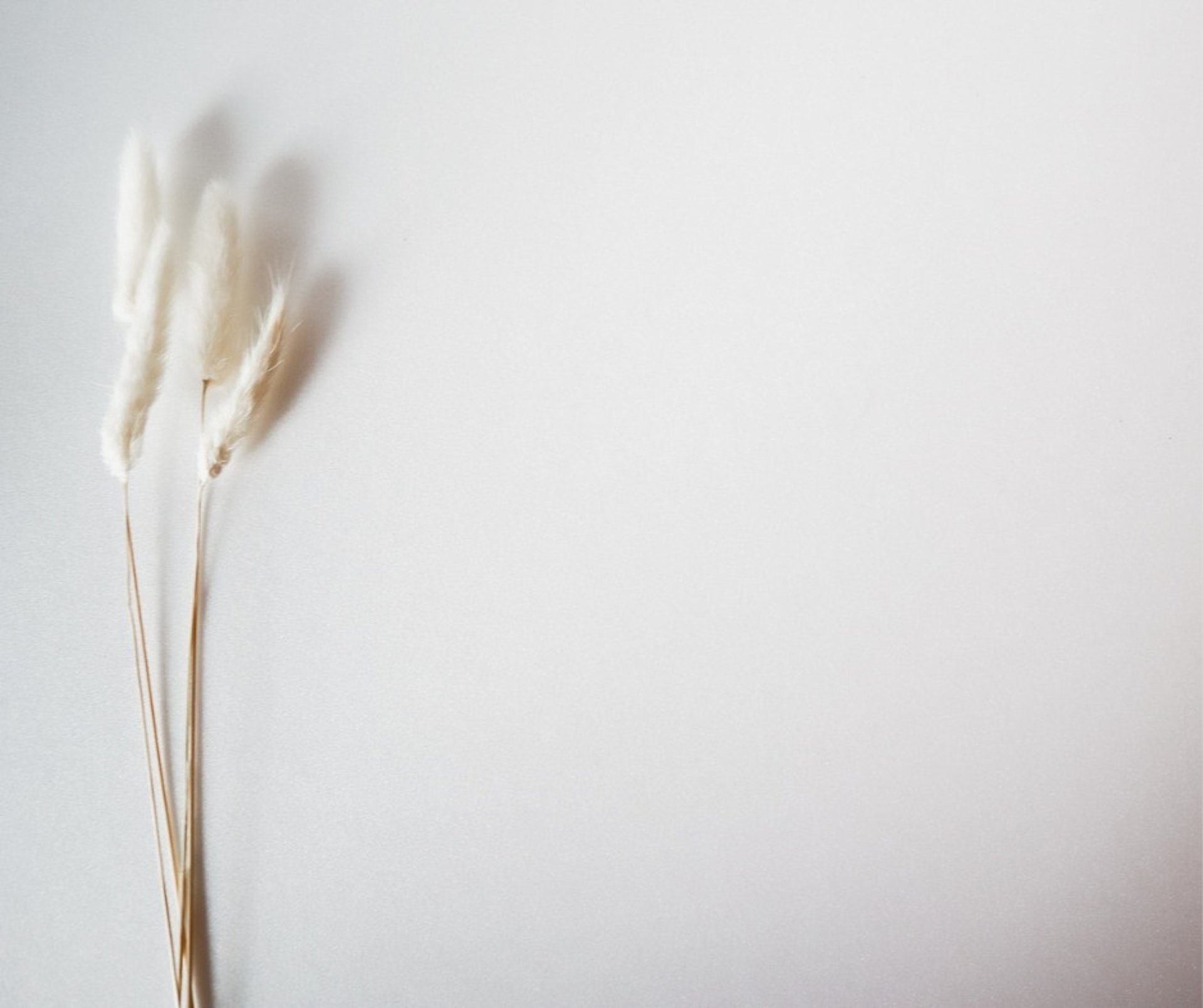 Sandrine, formatrice esthétique Vanilla Concept à Six-Fours-les-Plages