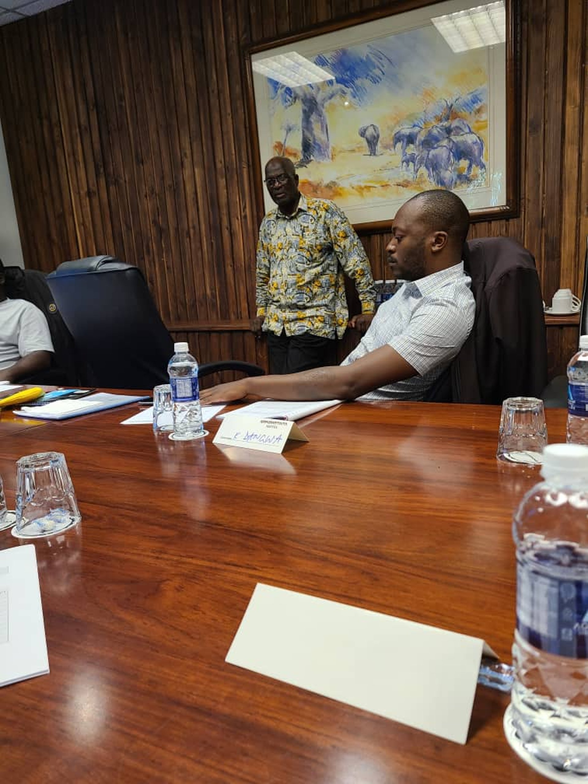 woman wearing yellow long-sleeved dress under white clouds and blue sky during daytime