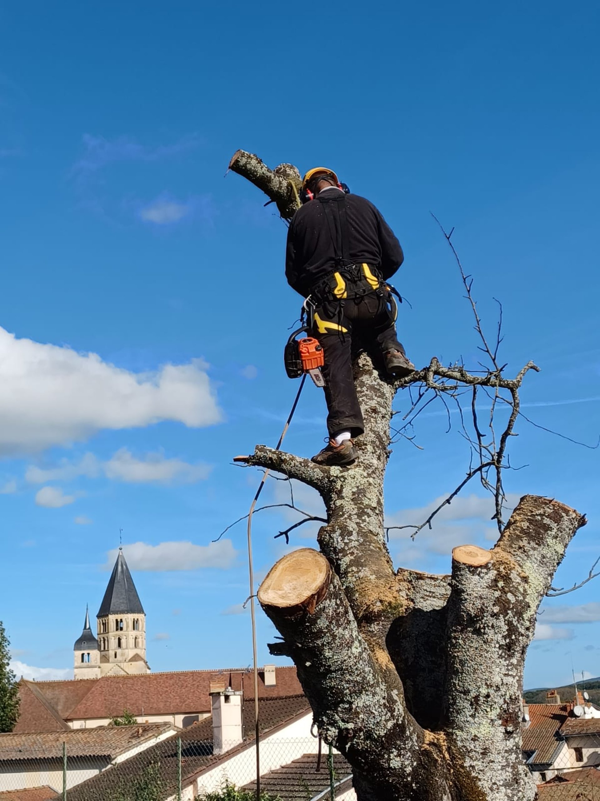 contact pothier corsin