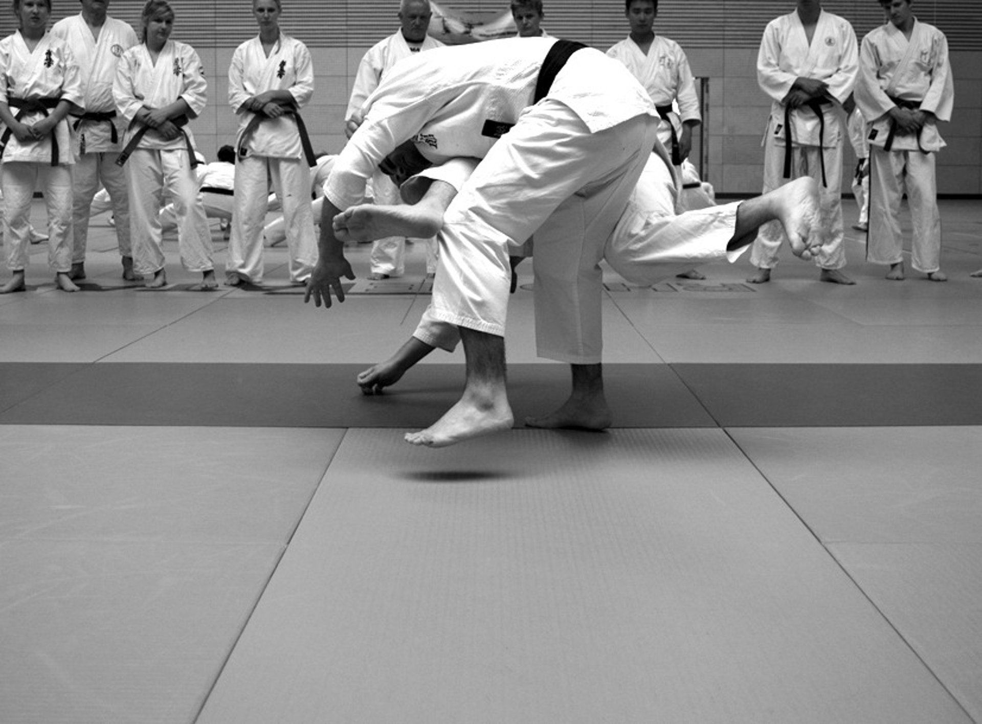 Jiushin Kan Malta | Jiu-Jitsu | Martial Arts