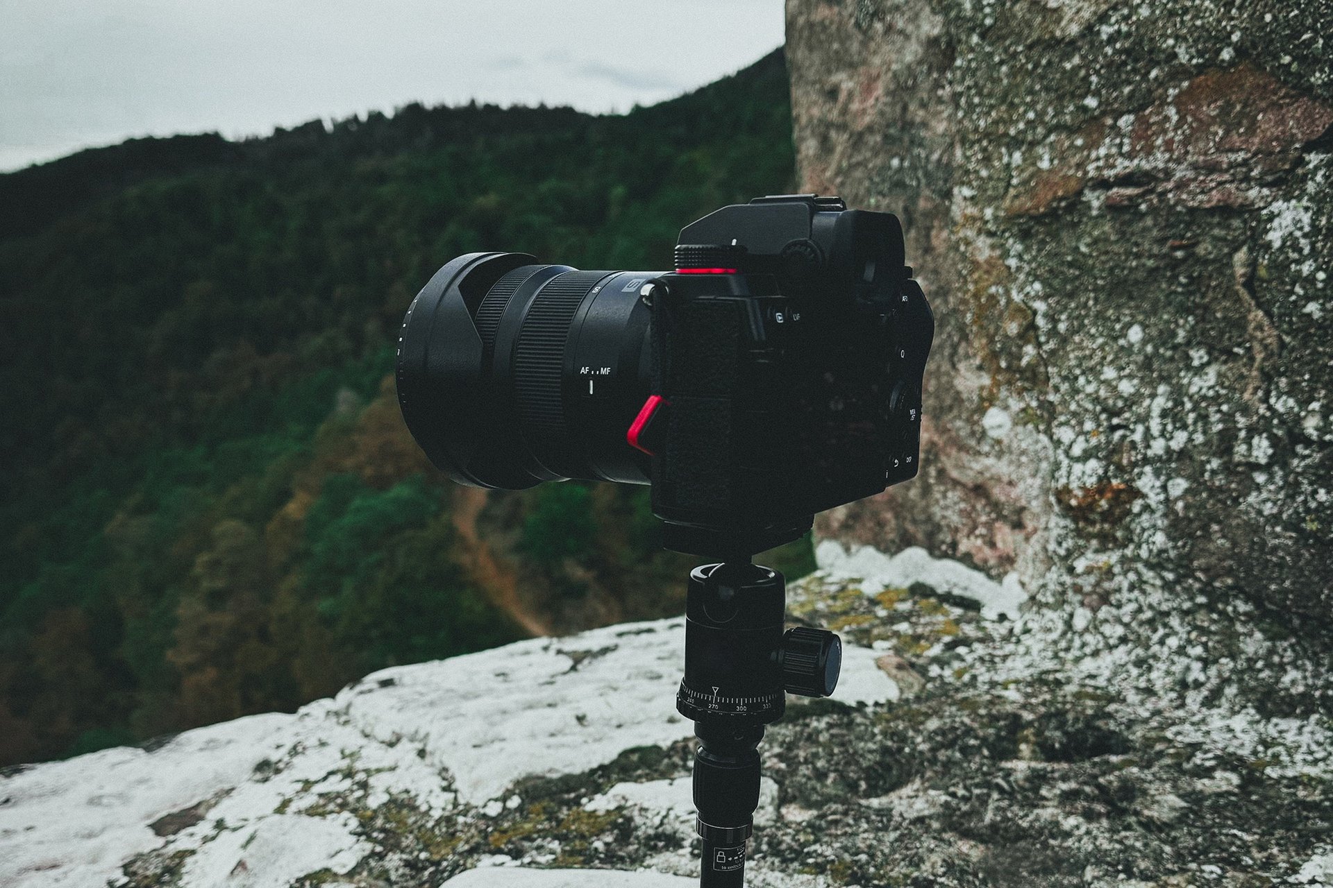 black blue and yellow textile
