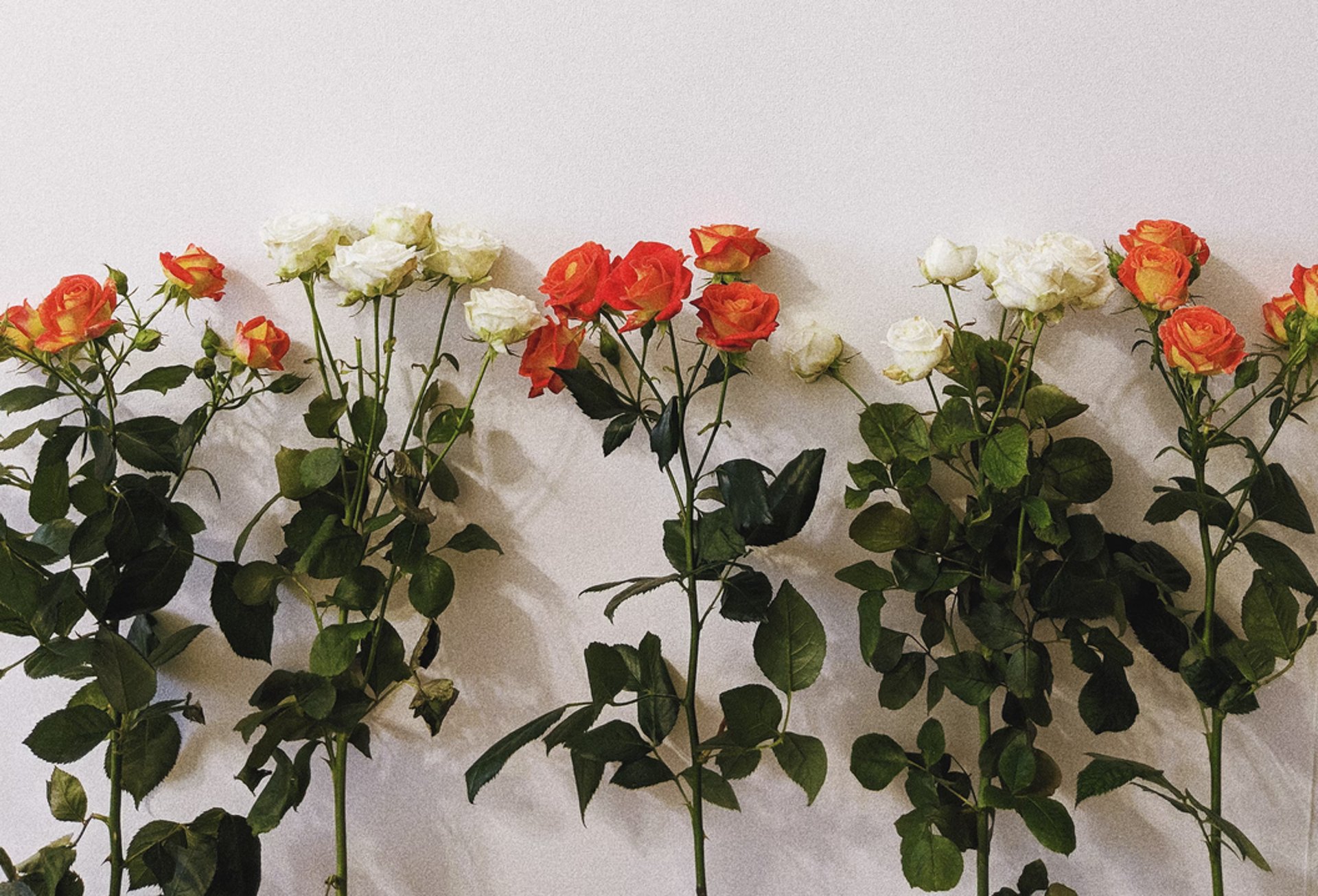 black and brown leather padded tub sofa