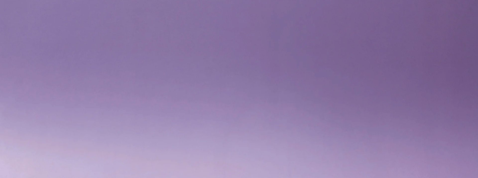 purple and pink color illustration