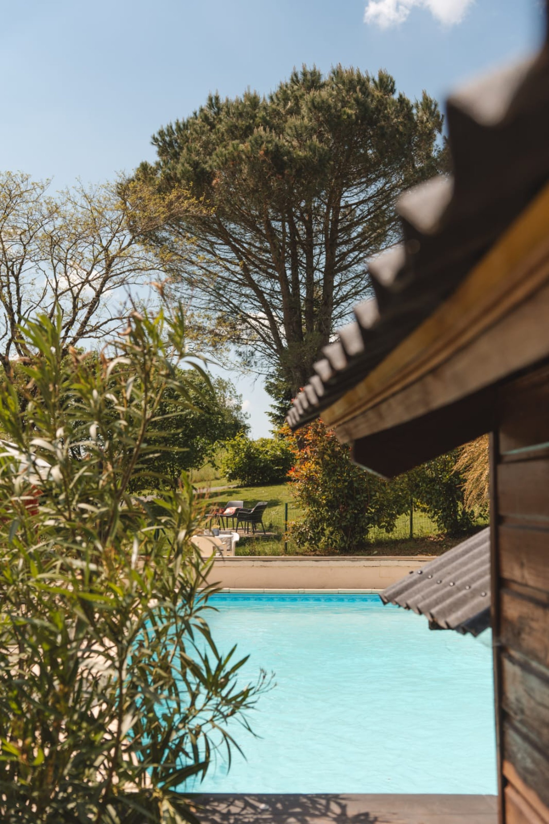 woman wearing yellow long-sleeved dress under white clouds and blue sky during daytime