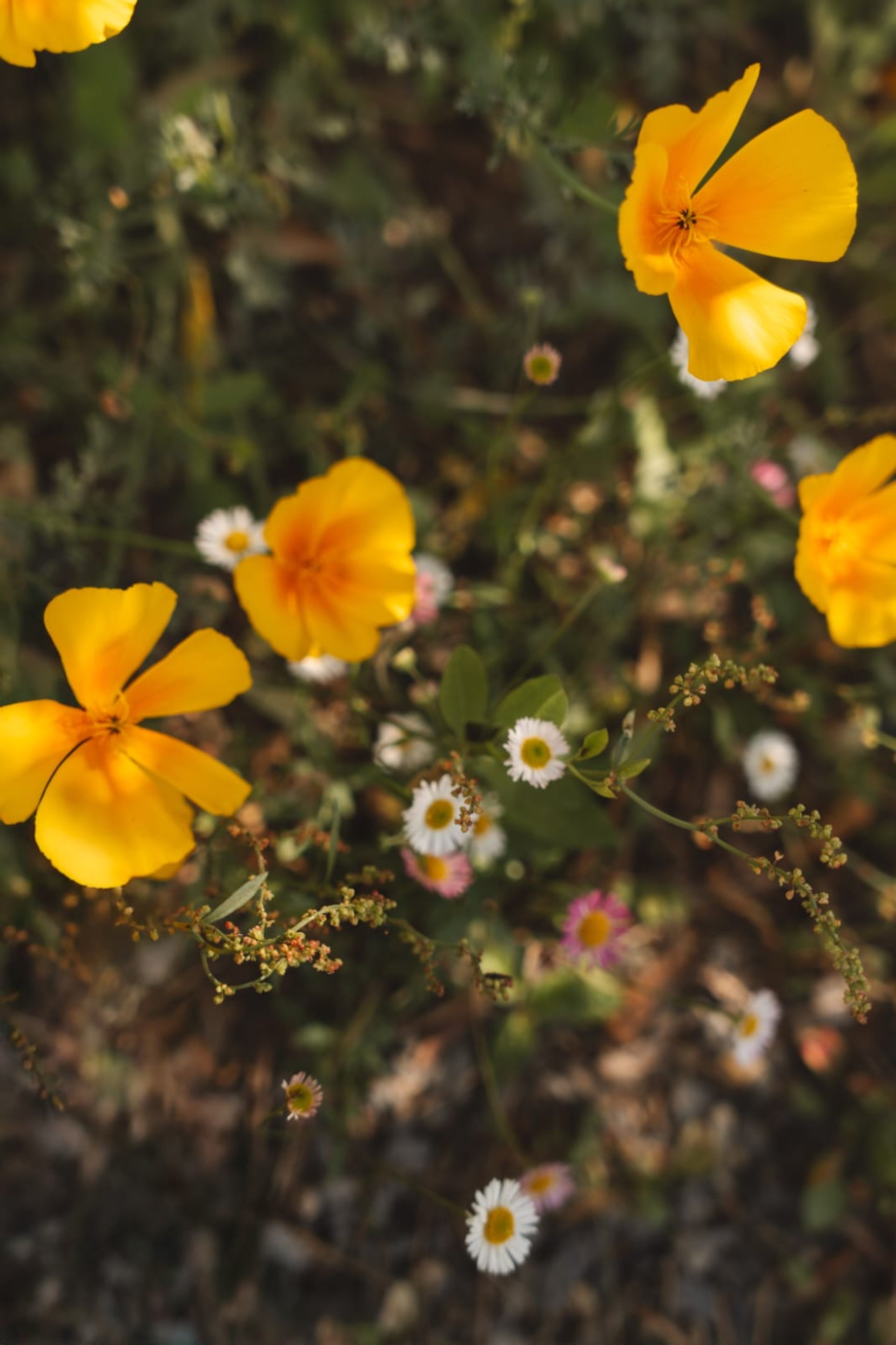 gray computer monitor