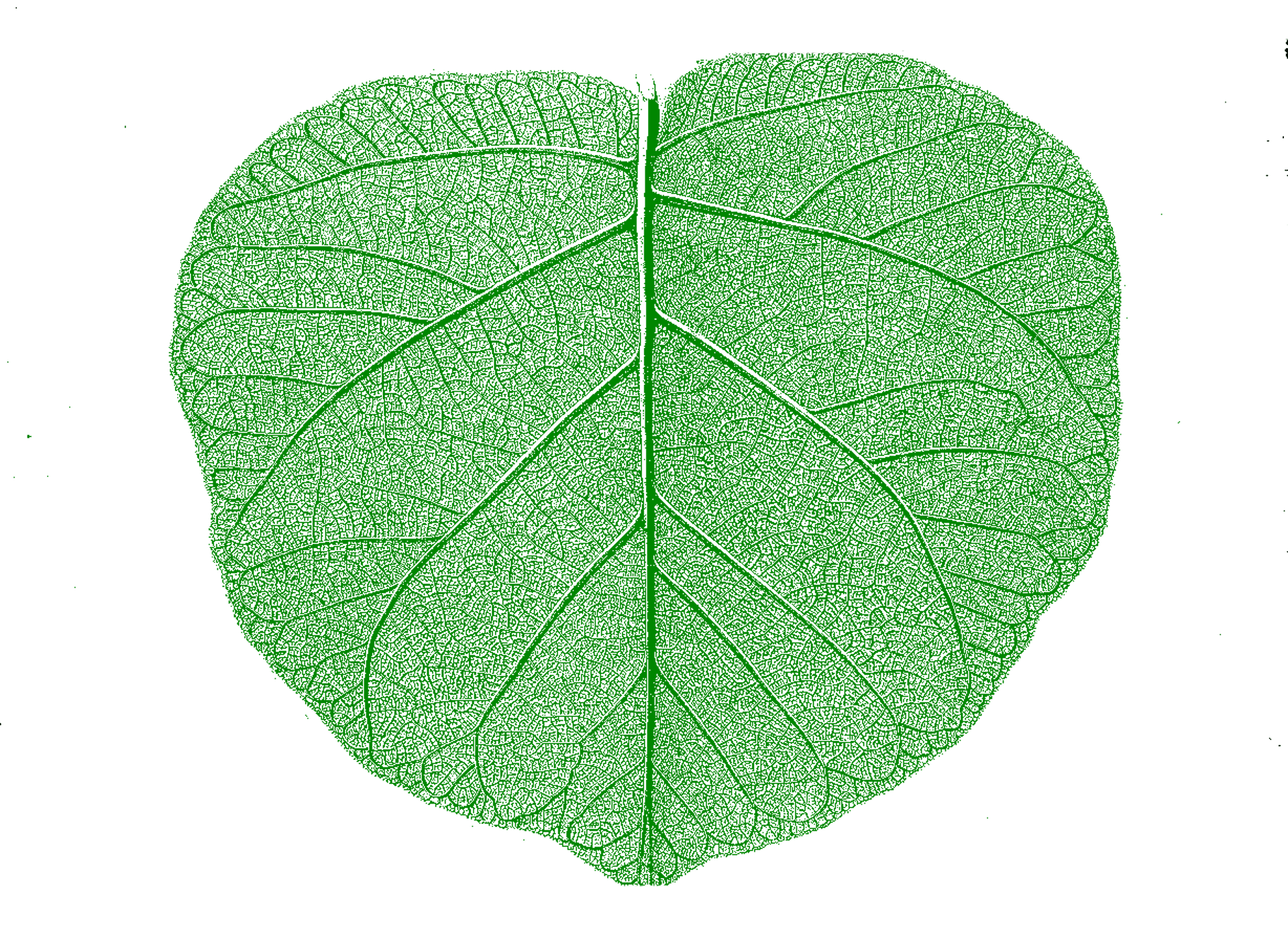 gray computer monitor