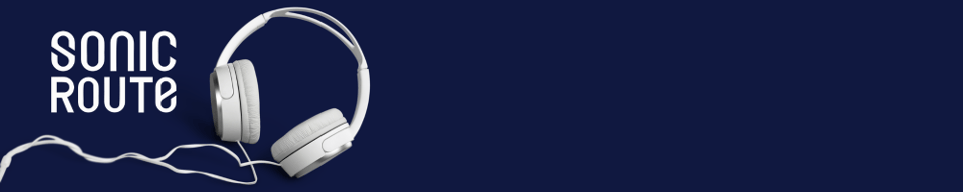 black and blue bluetooth earbuds