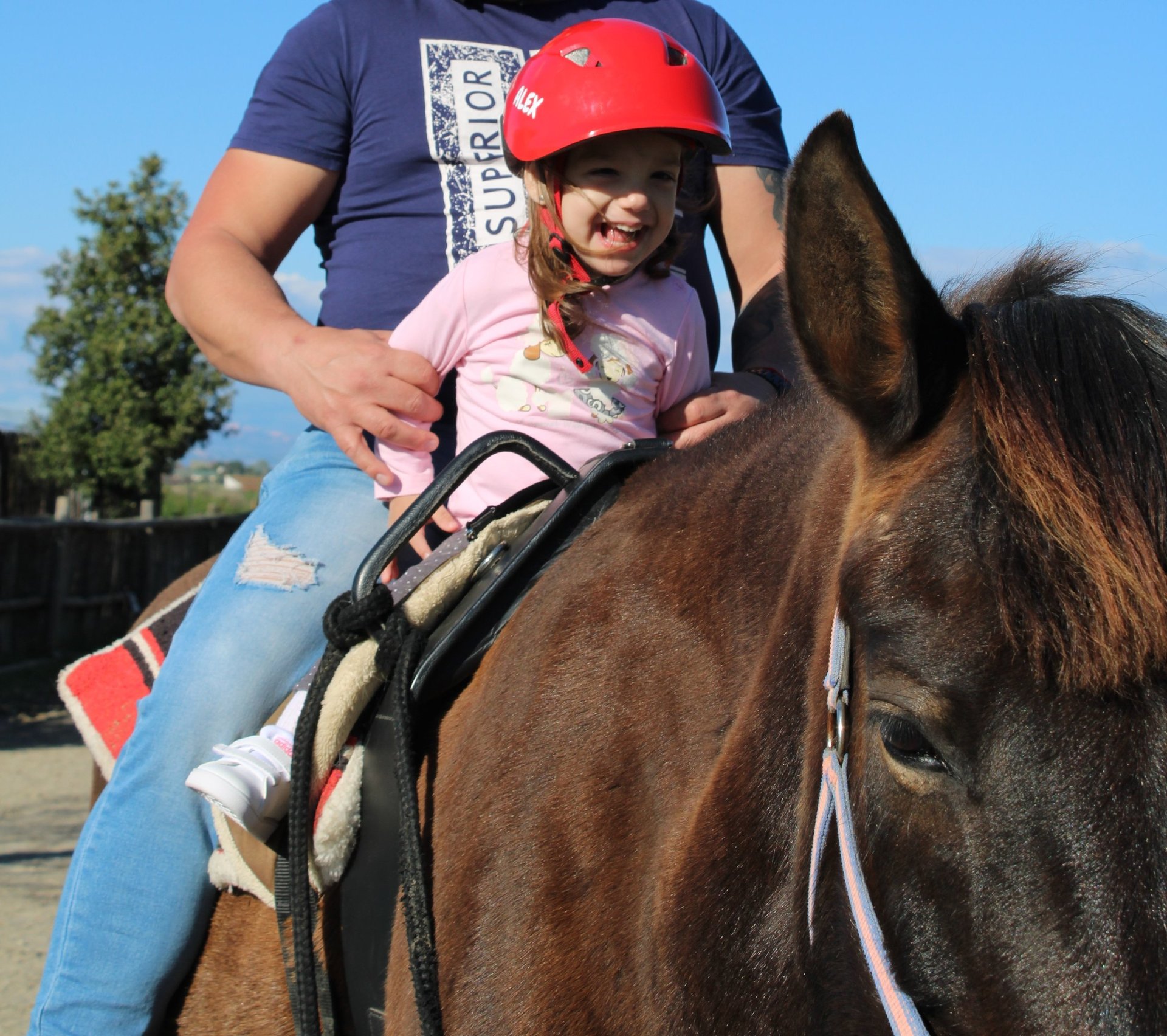 girl kissing horse