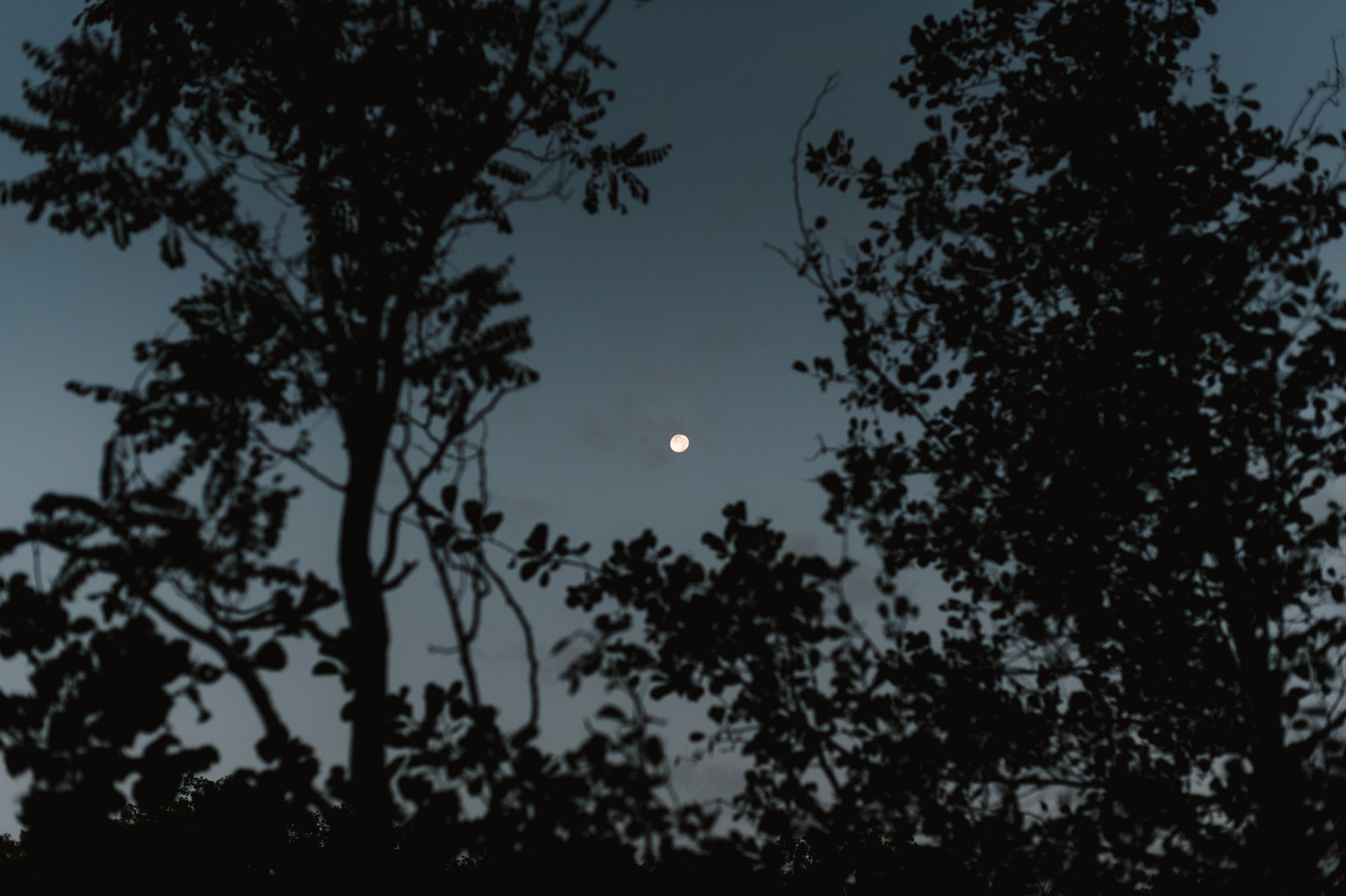 mountain range under blue sky