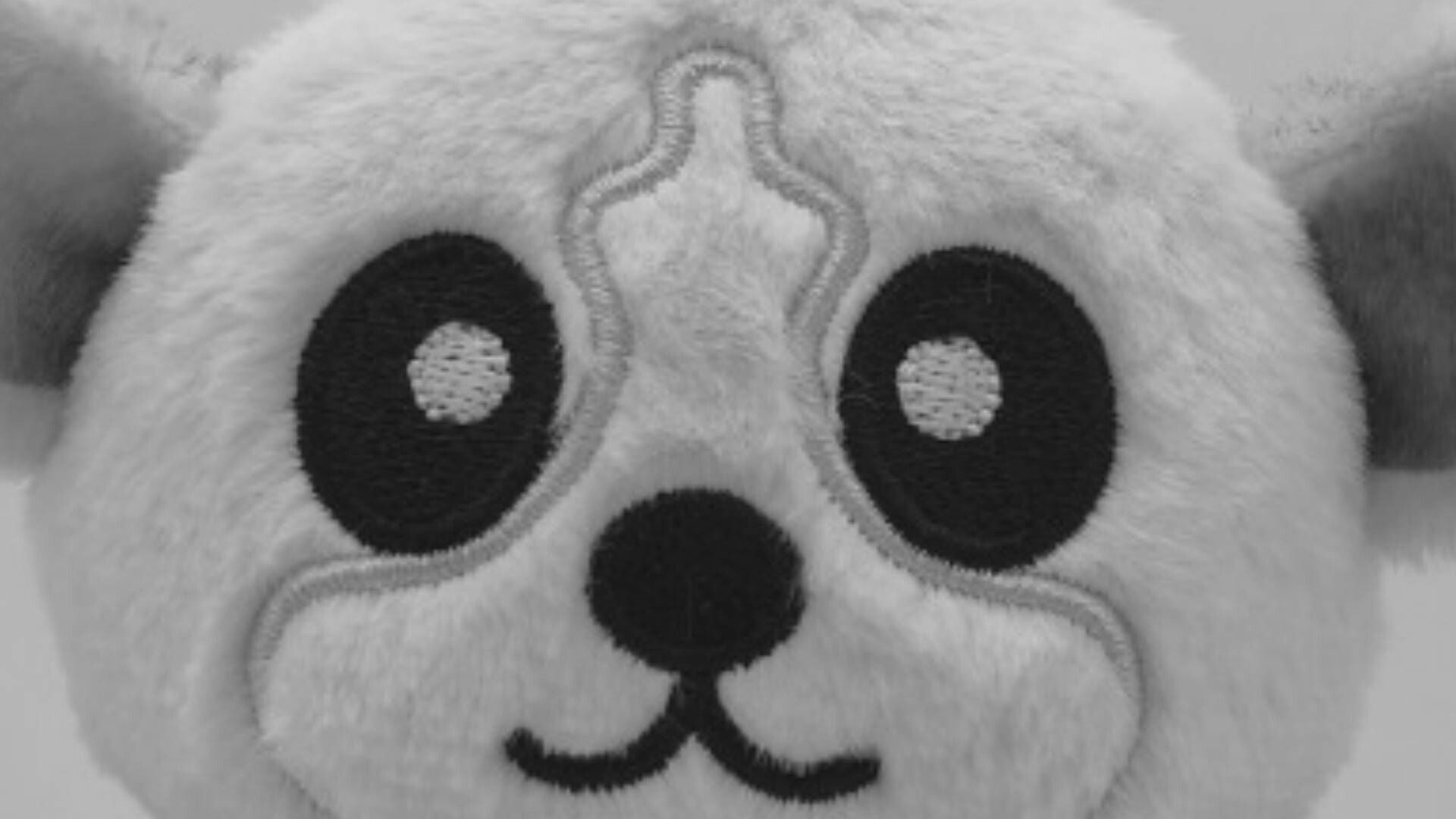 an abstract photo of a curved building with a blue sky in the background