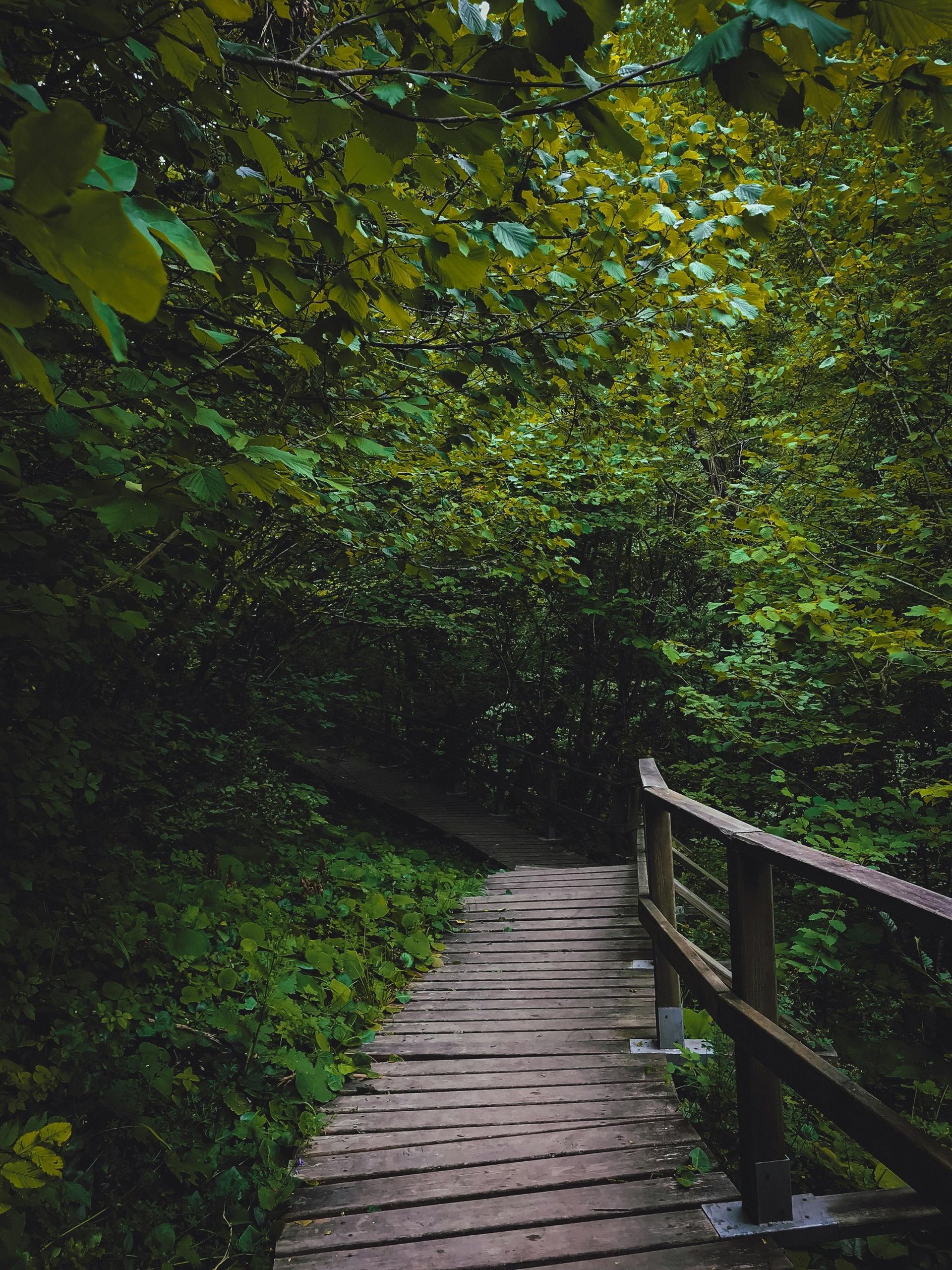 depth photography of man holding fish