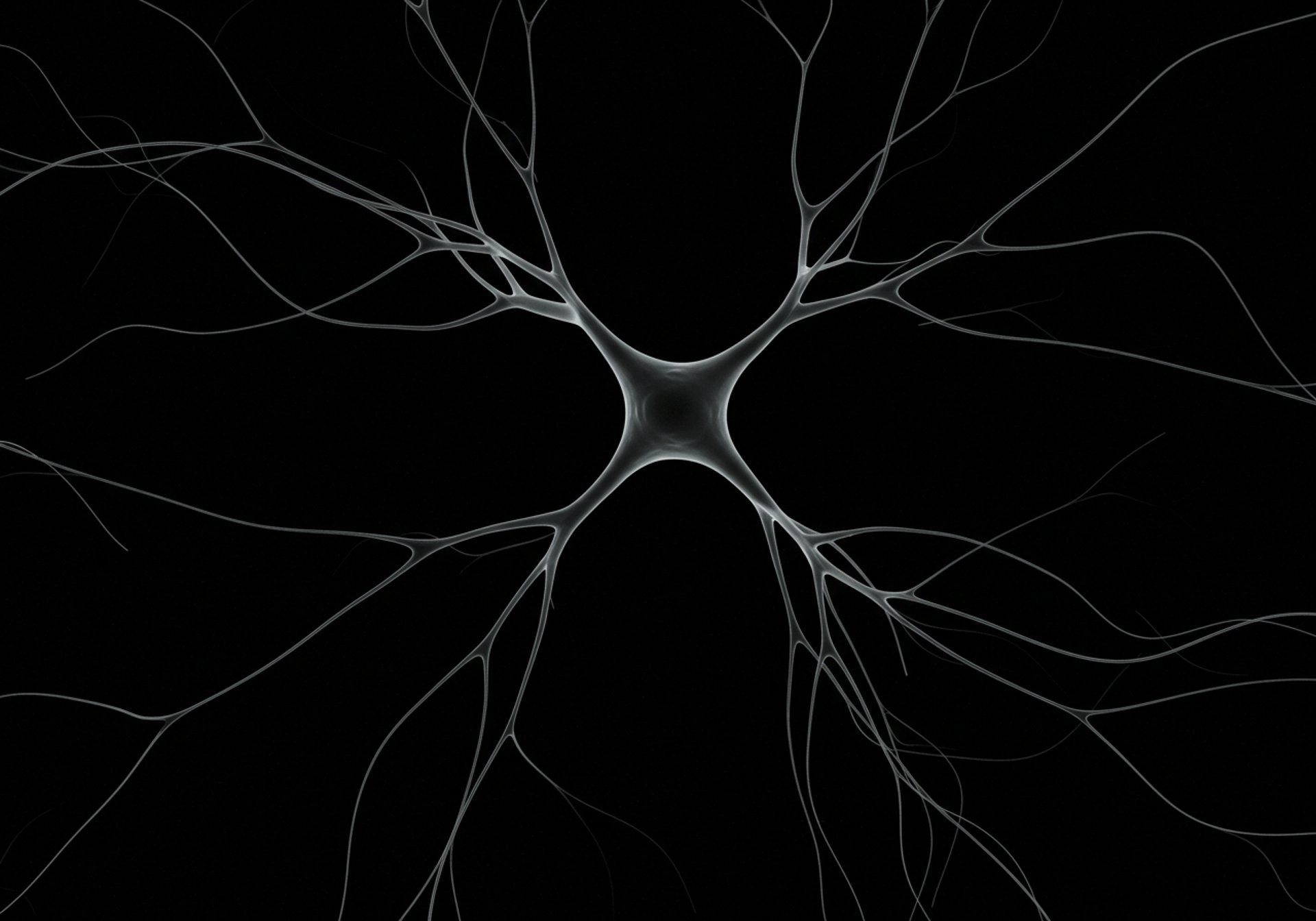 person writing on white board