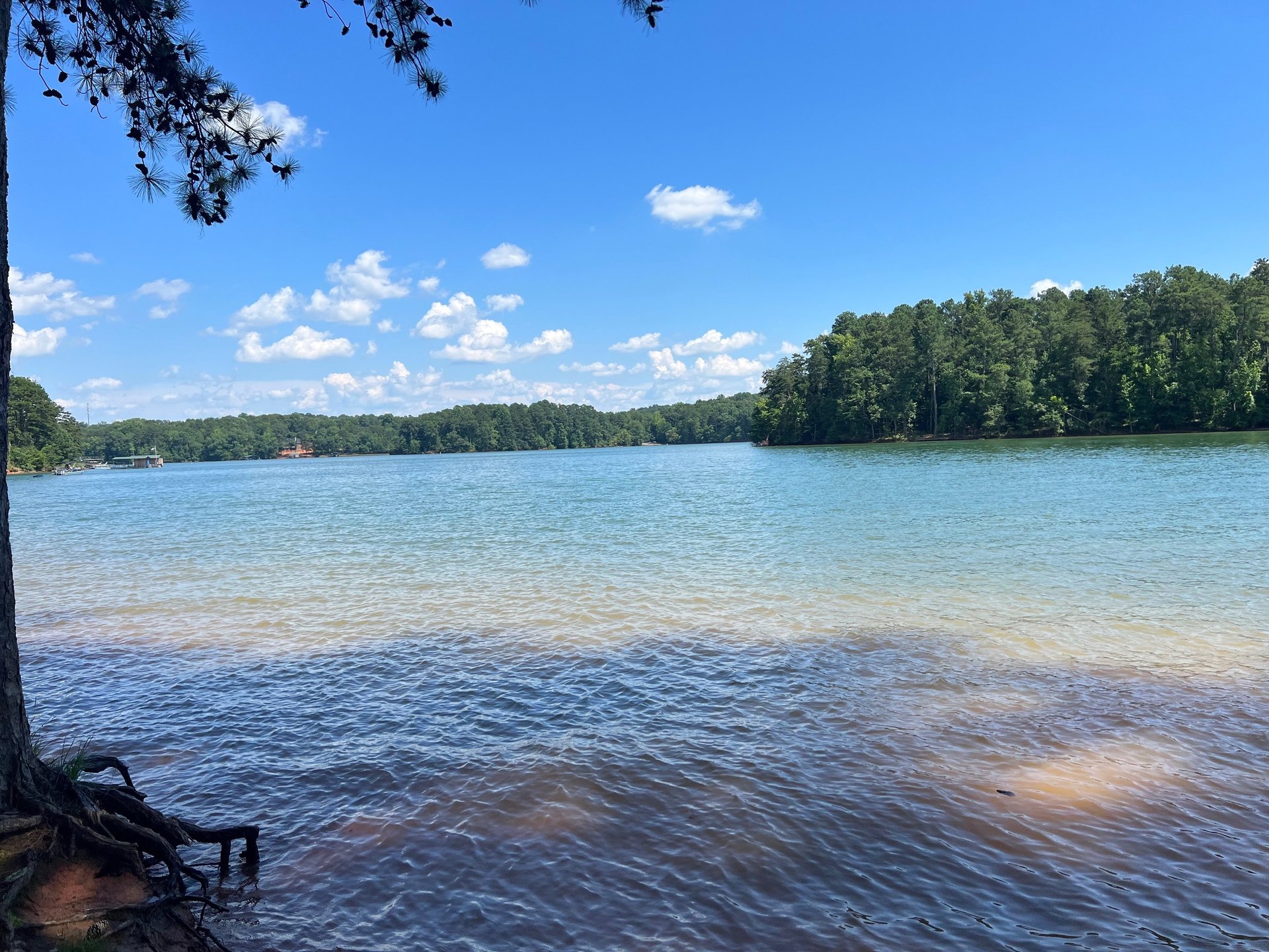 peaceful lake view with trees in the background
