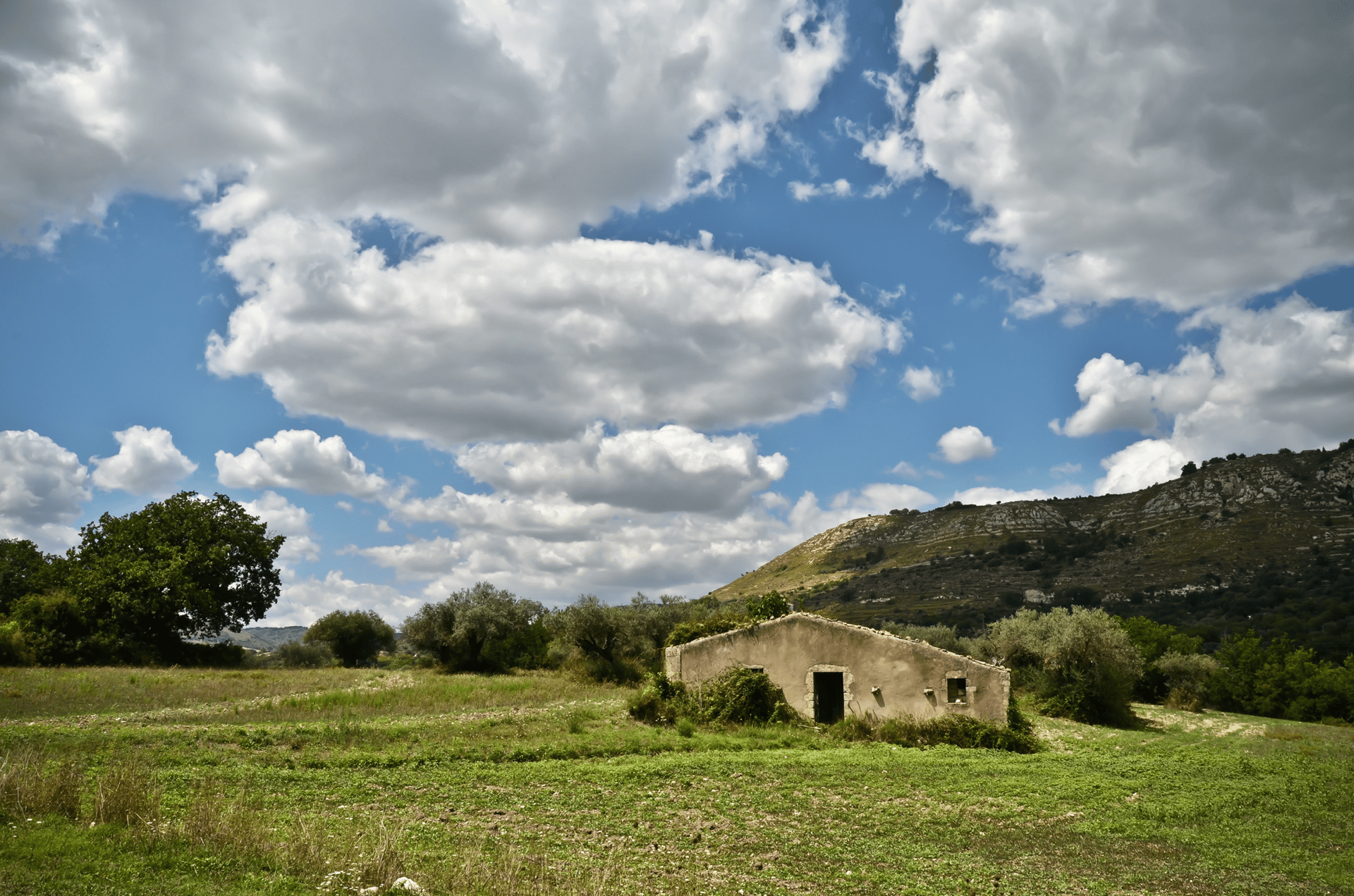 woman wearing yellow long-sleeved dress under white clouds and blue sky during daytime