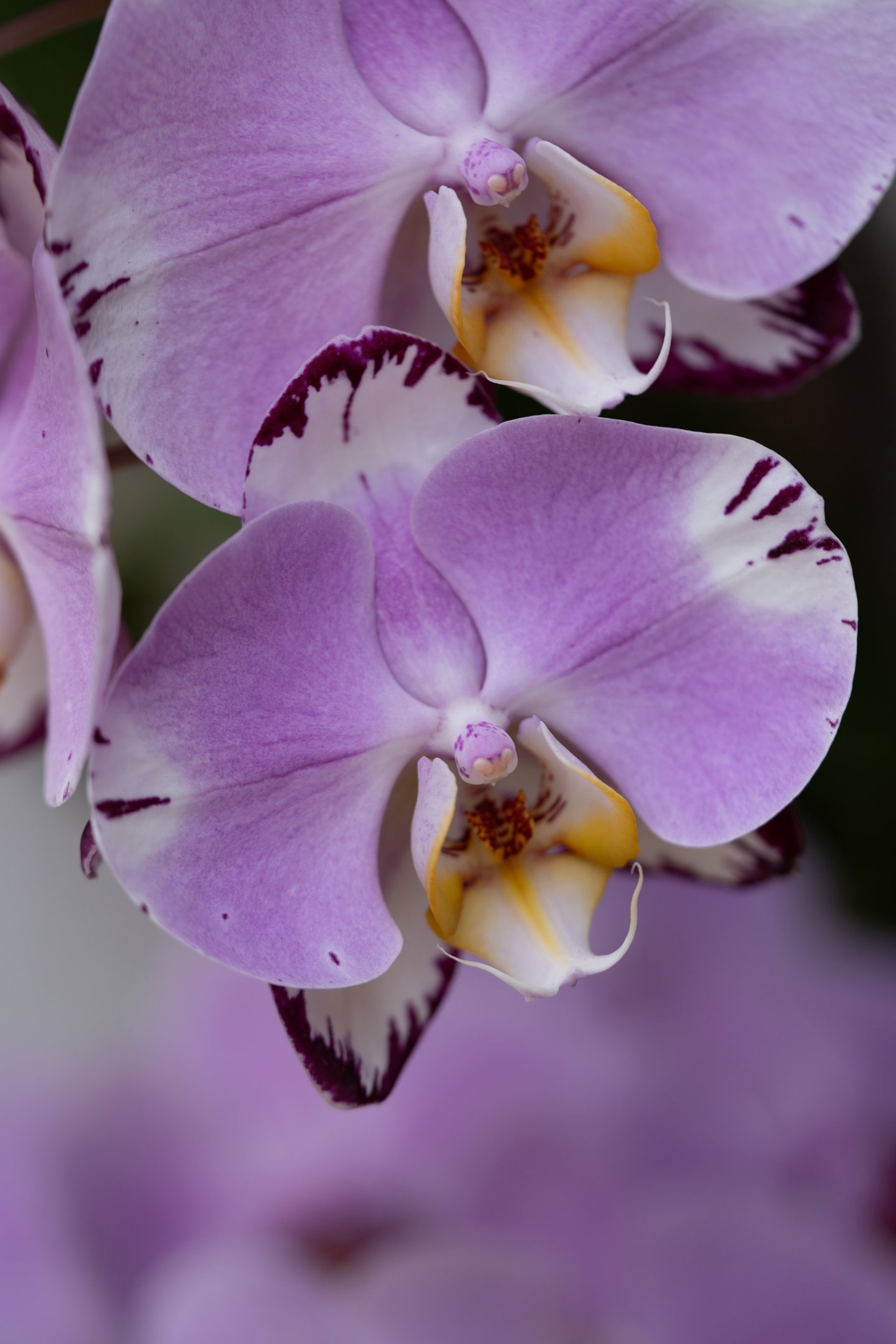 an abstract photo of a curved building with a blue sky in the background