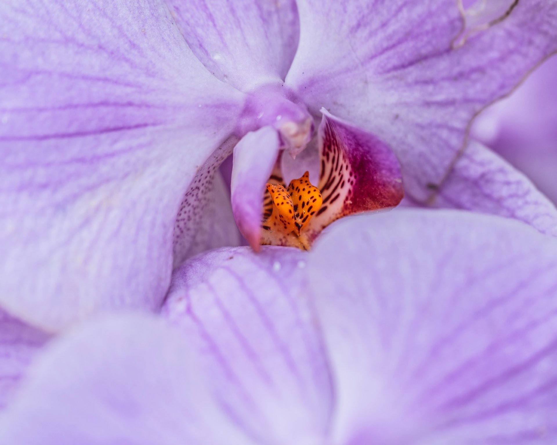 an abstract photo of a curved building with a blue sky in the background