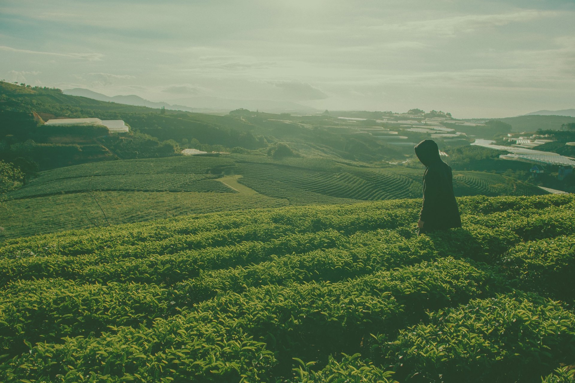 black and white bed linen