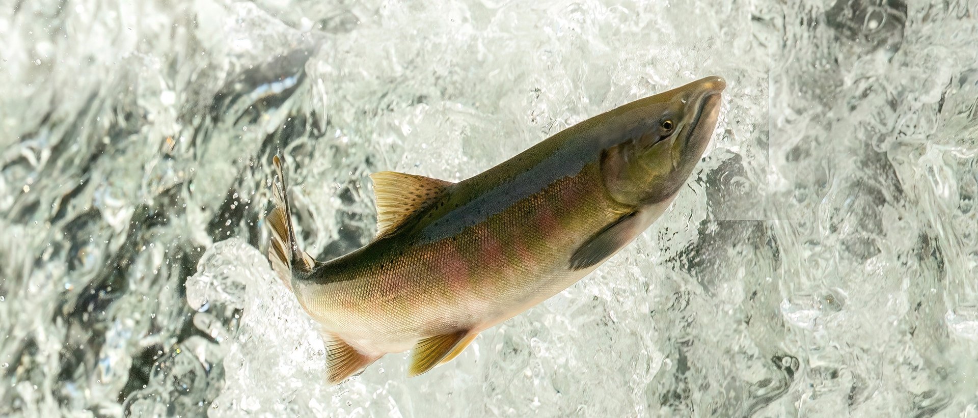 San Marina Bay, Singapore