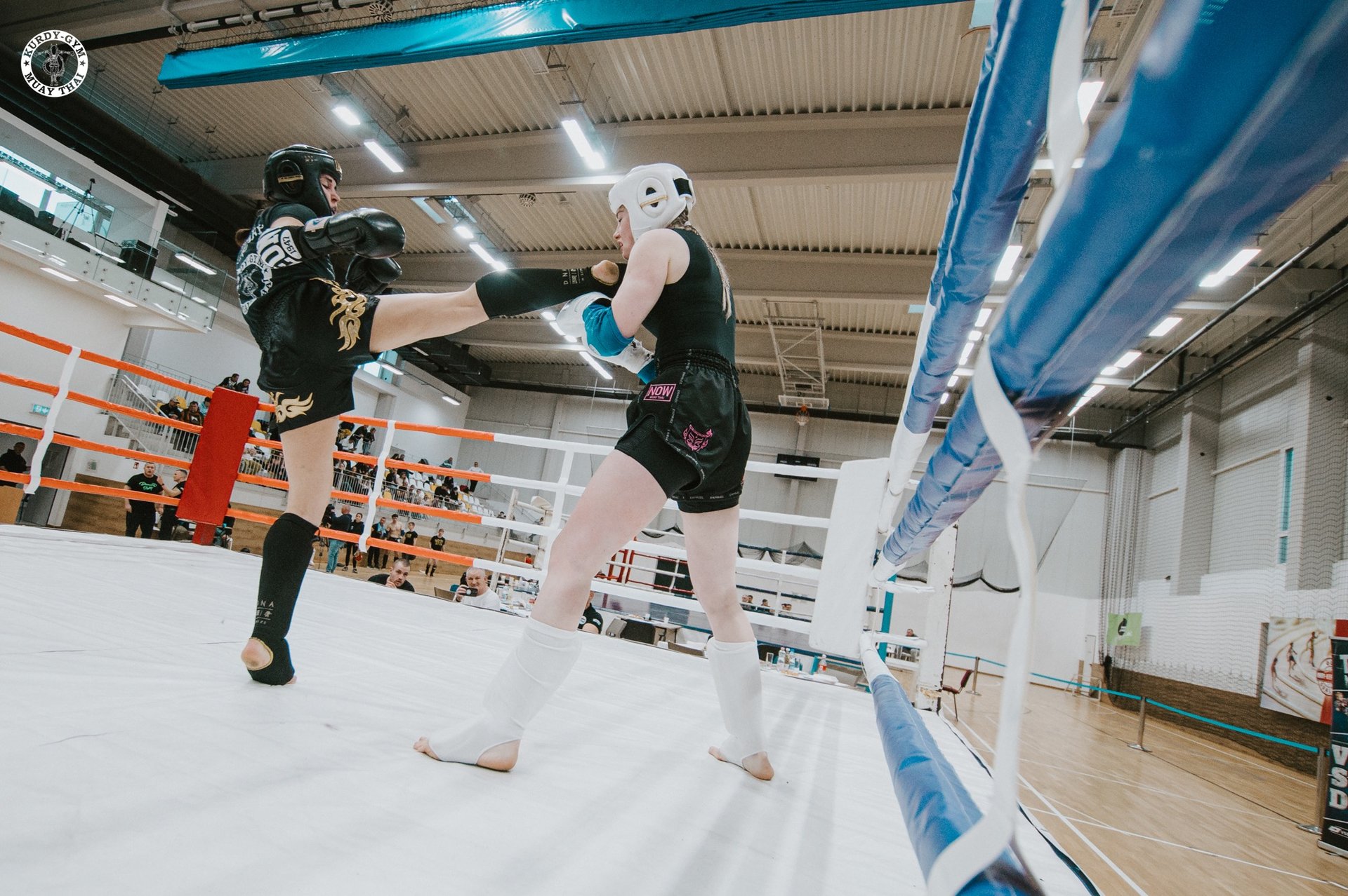 black blue and yellow textile