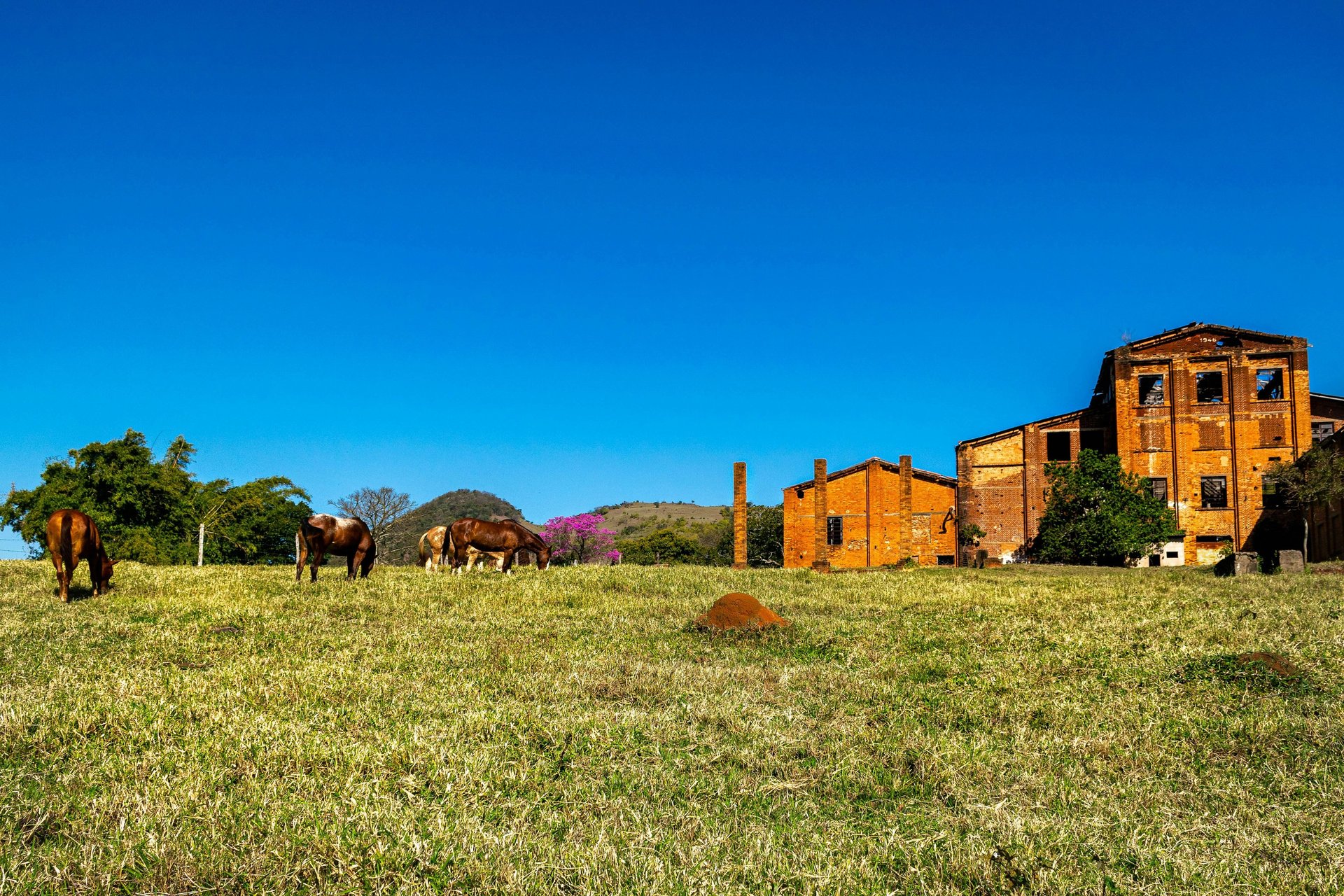 black blue and yellow textile