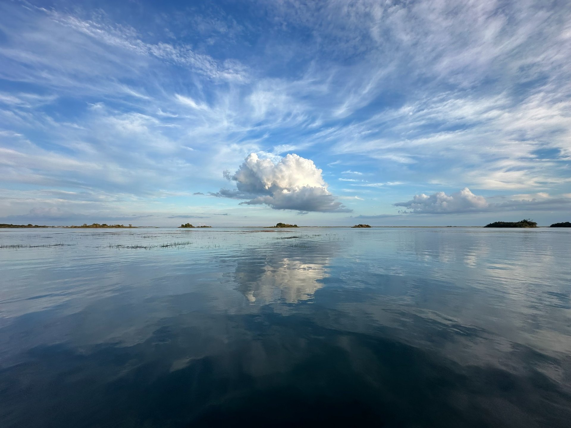 black and brown leather padded tub sofa