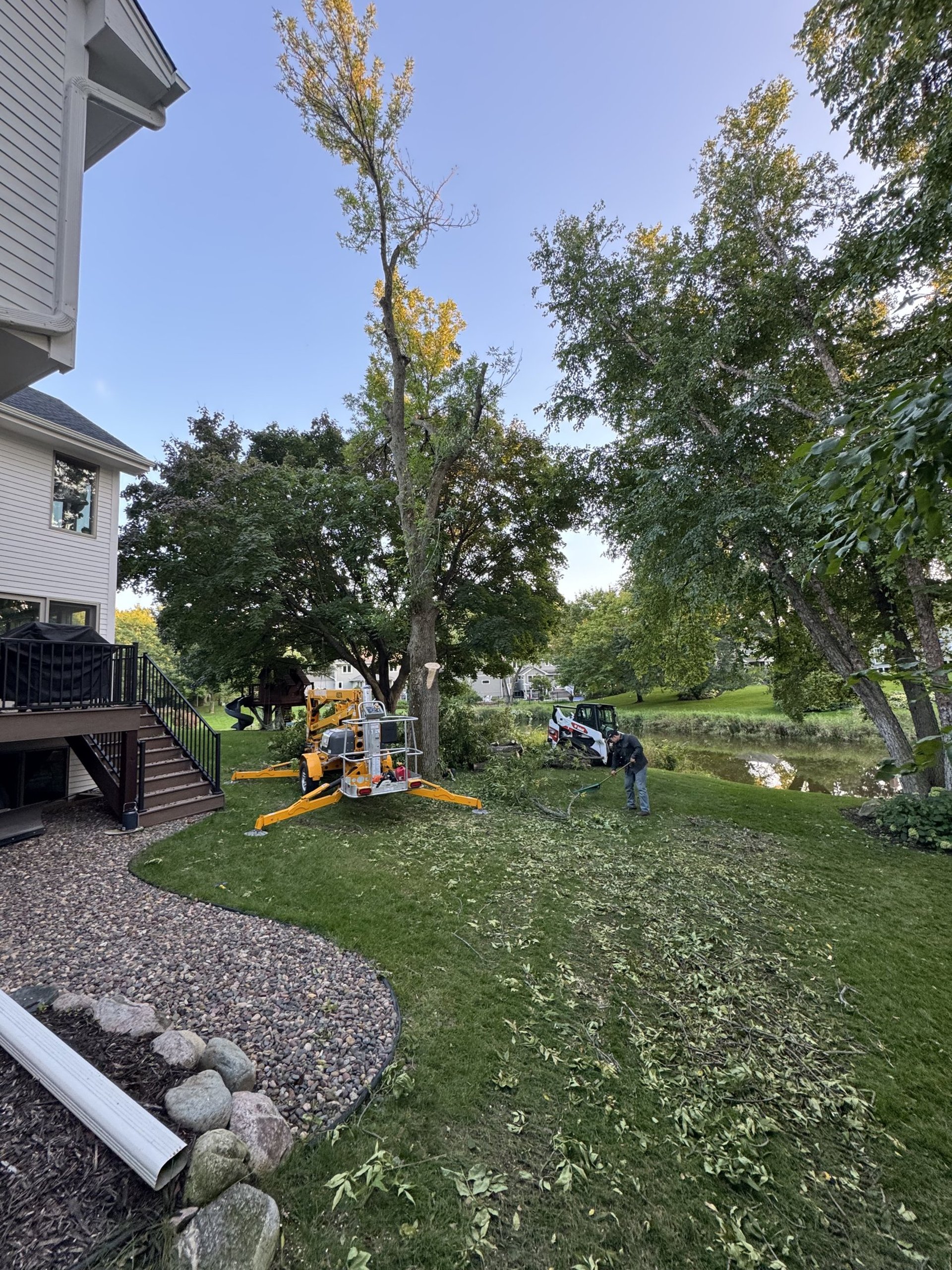 tree-removal-services.png