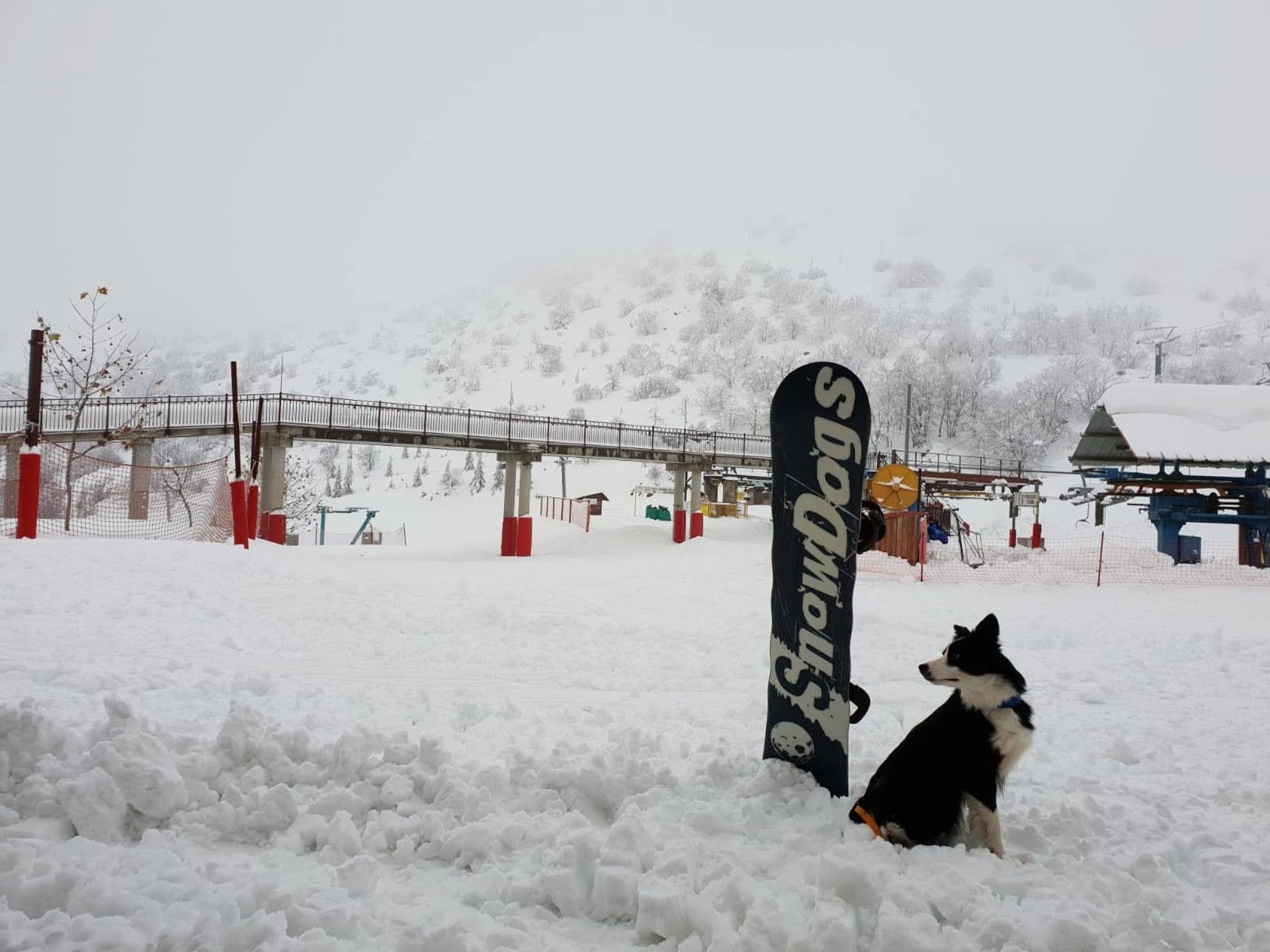 person holding ski poles in the middle of snow during winter season