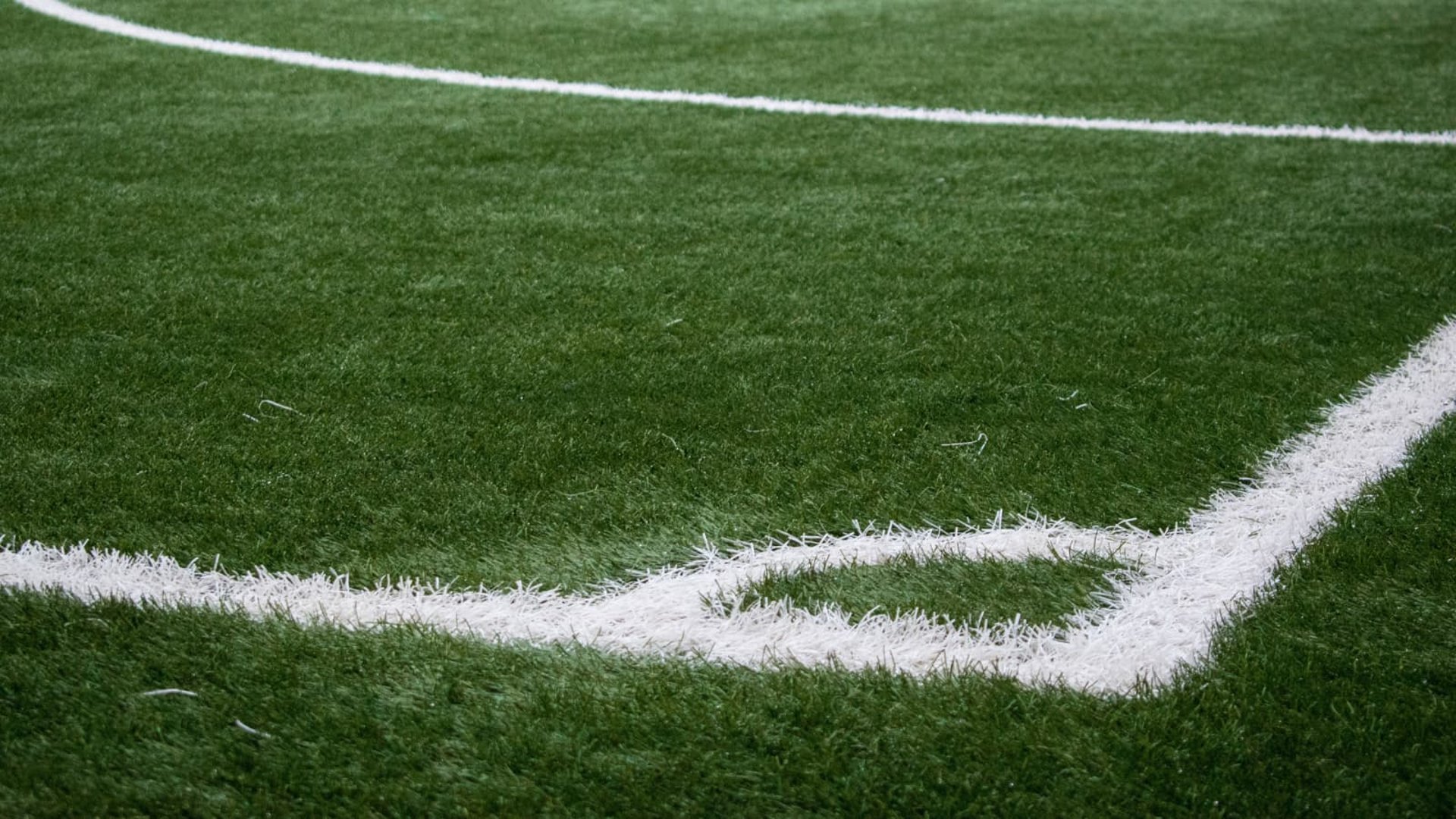 closeup photo of green grass ground