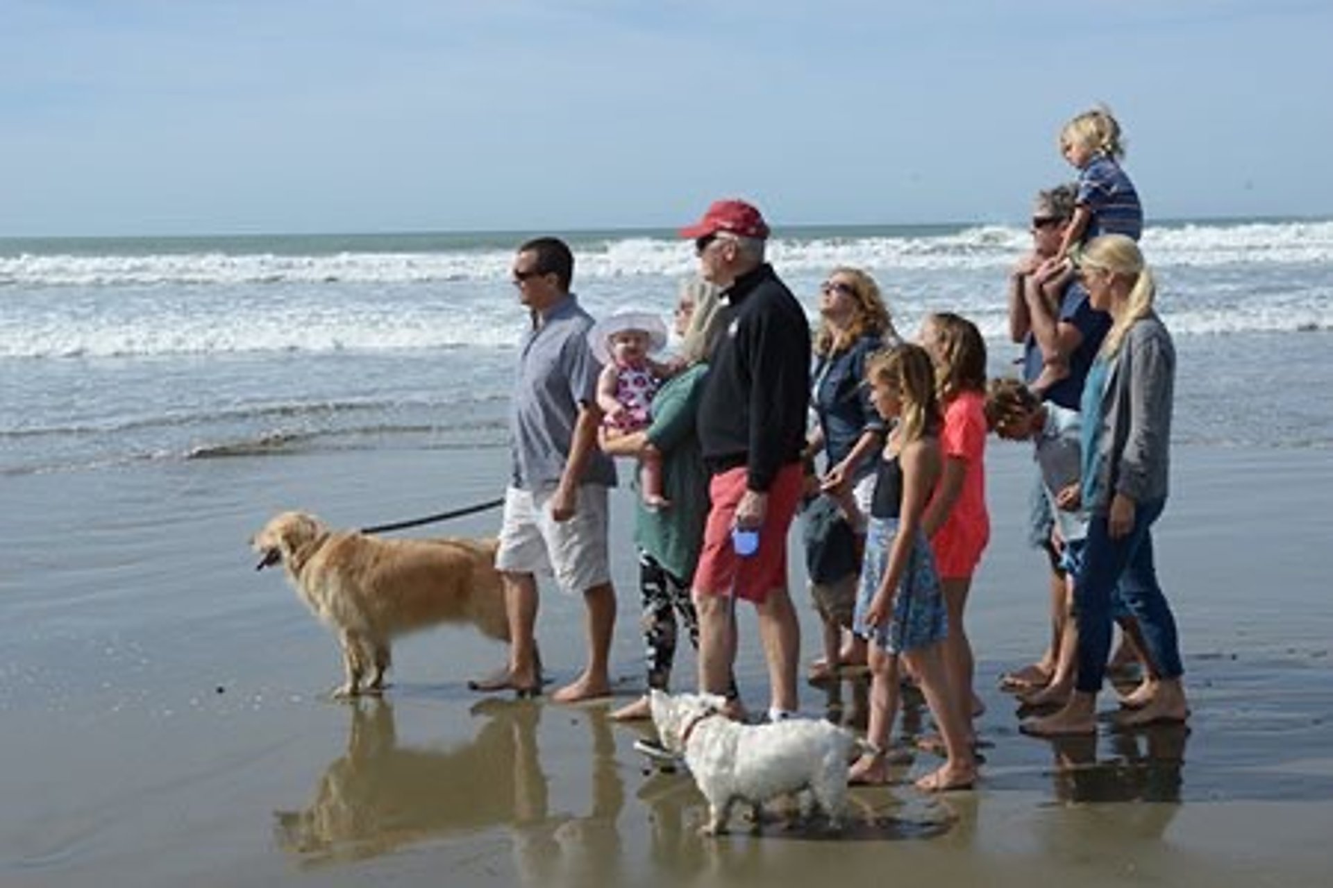 two women in bikini beside brown dog during daytime