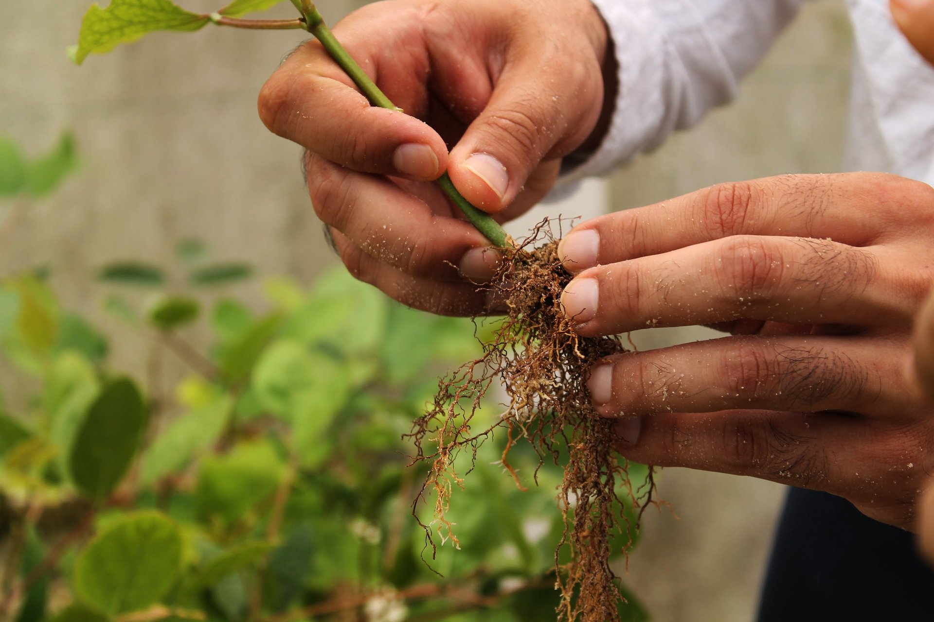 an abstract photo of a curved building with a blue sky in the background
