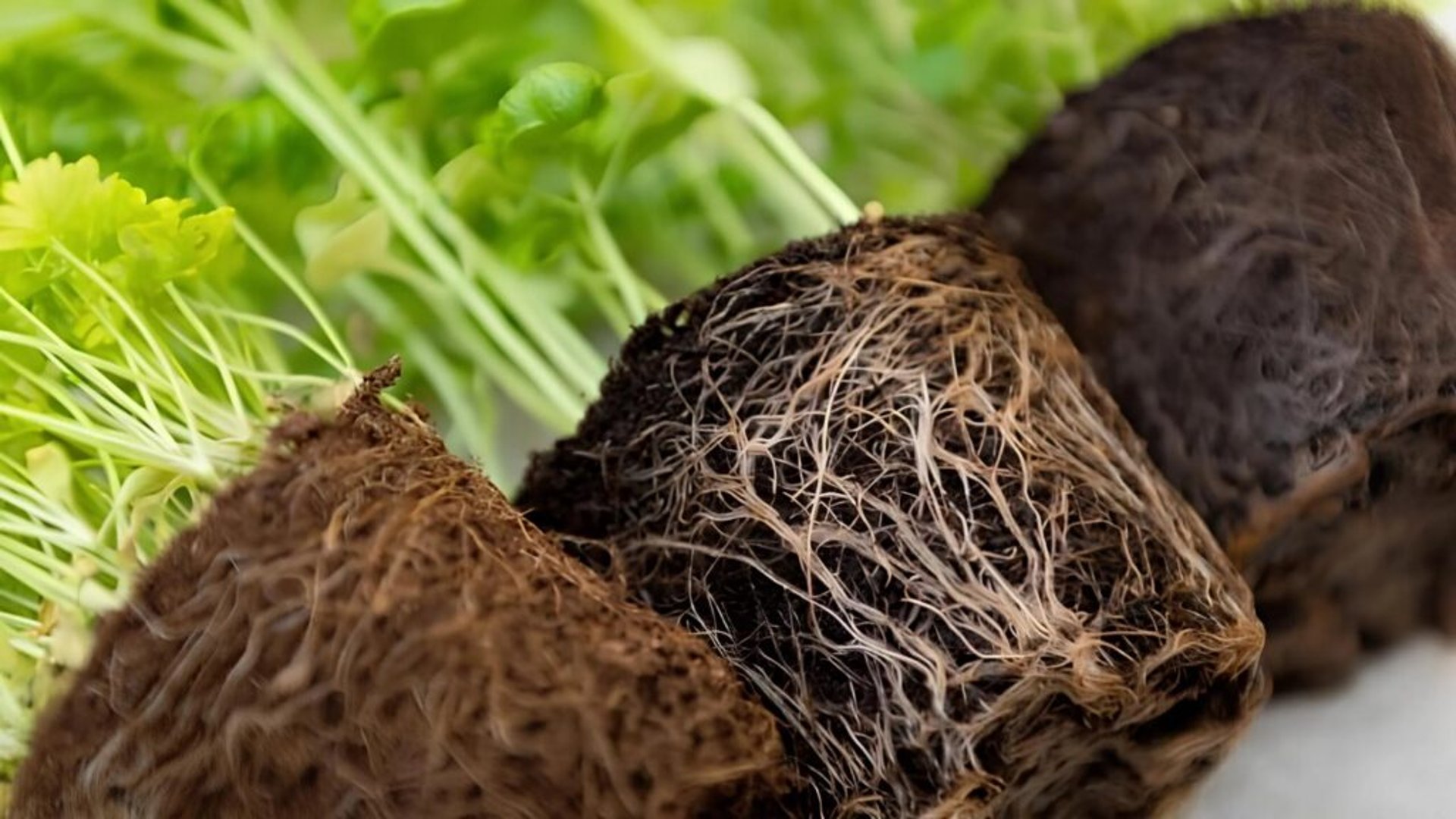 an abstract photo of a curved building with a blue sky in the background