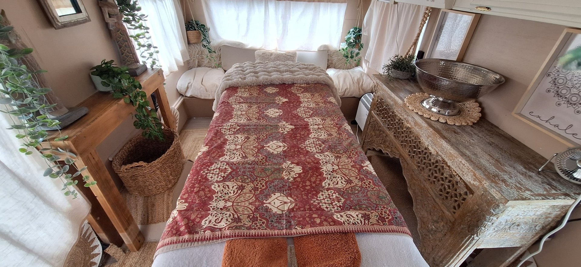 a close up of a dandelion on a white background