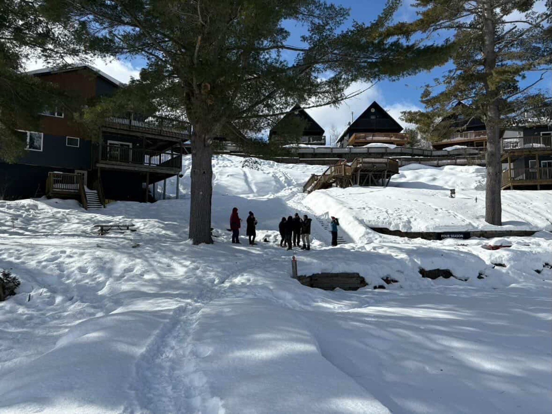 Snowy trail leads toward a forest.
